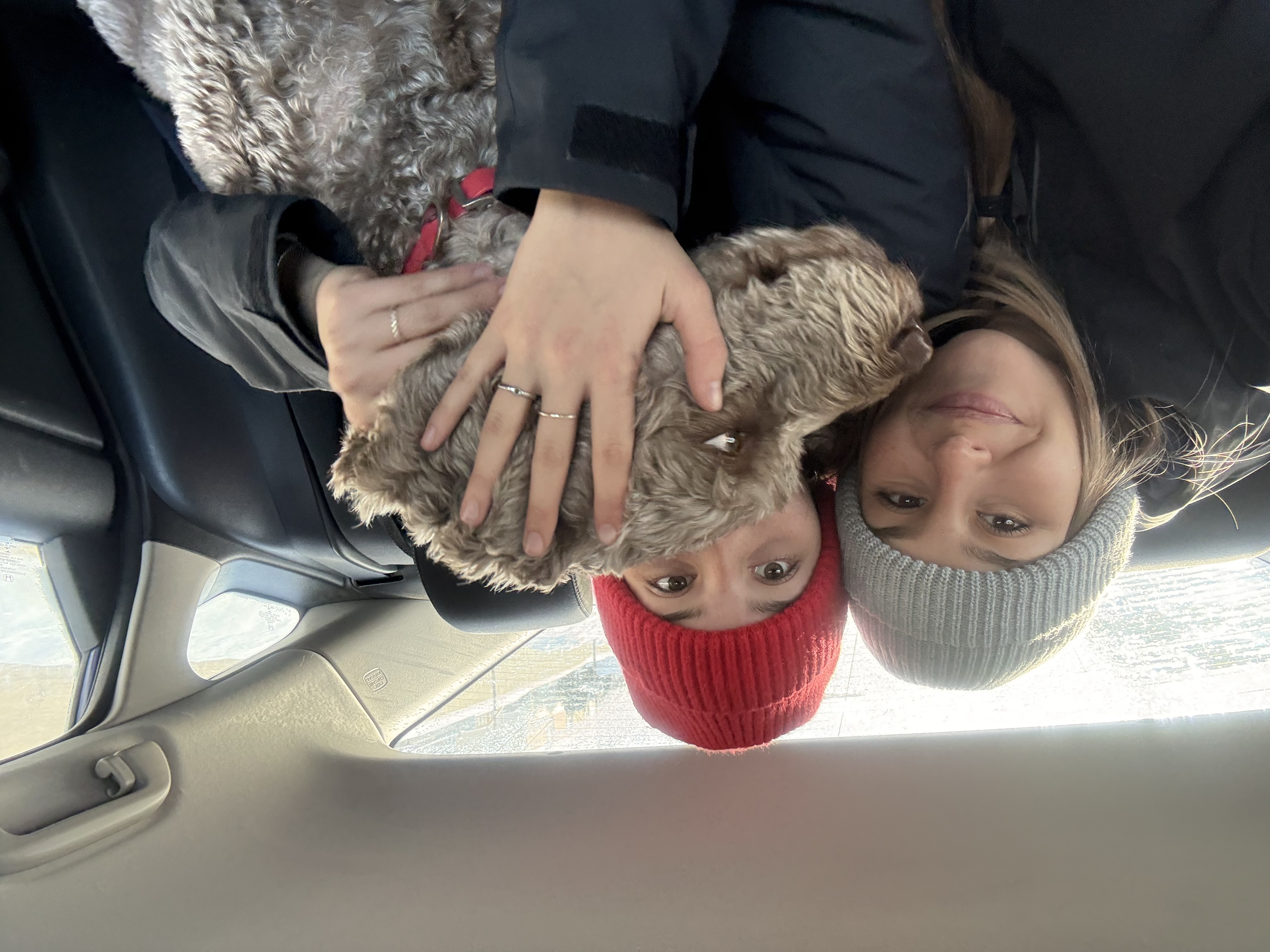 image-7