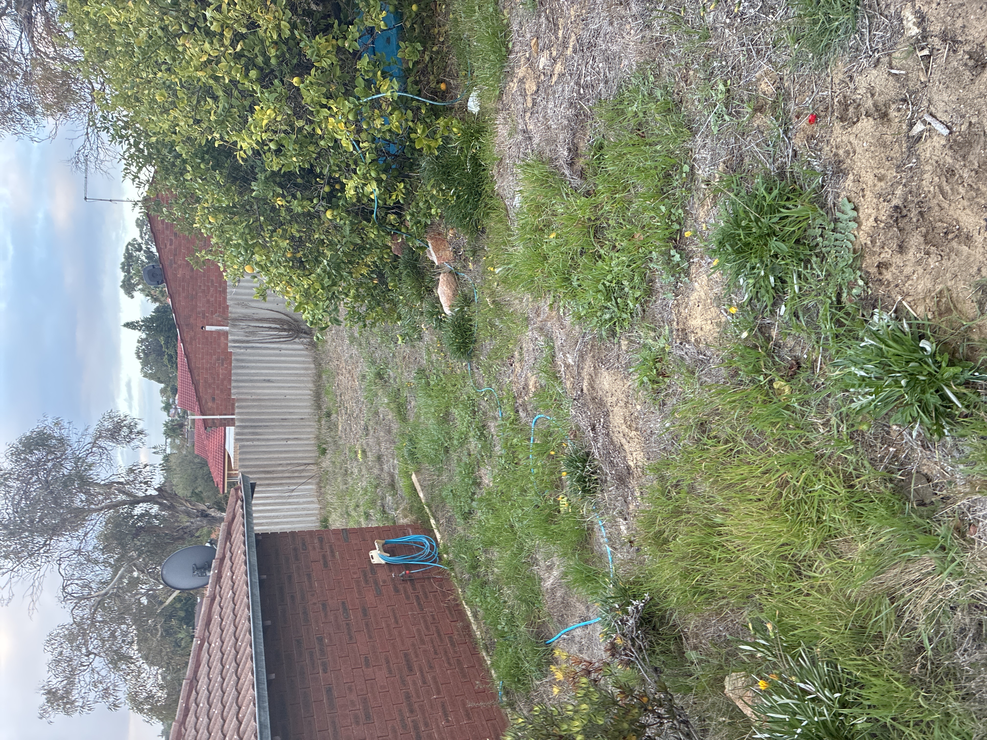image-10