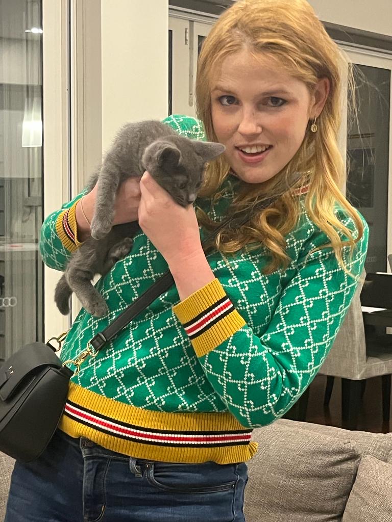 image-7