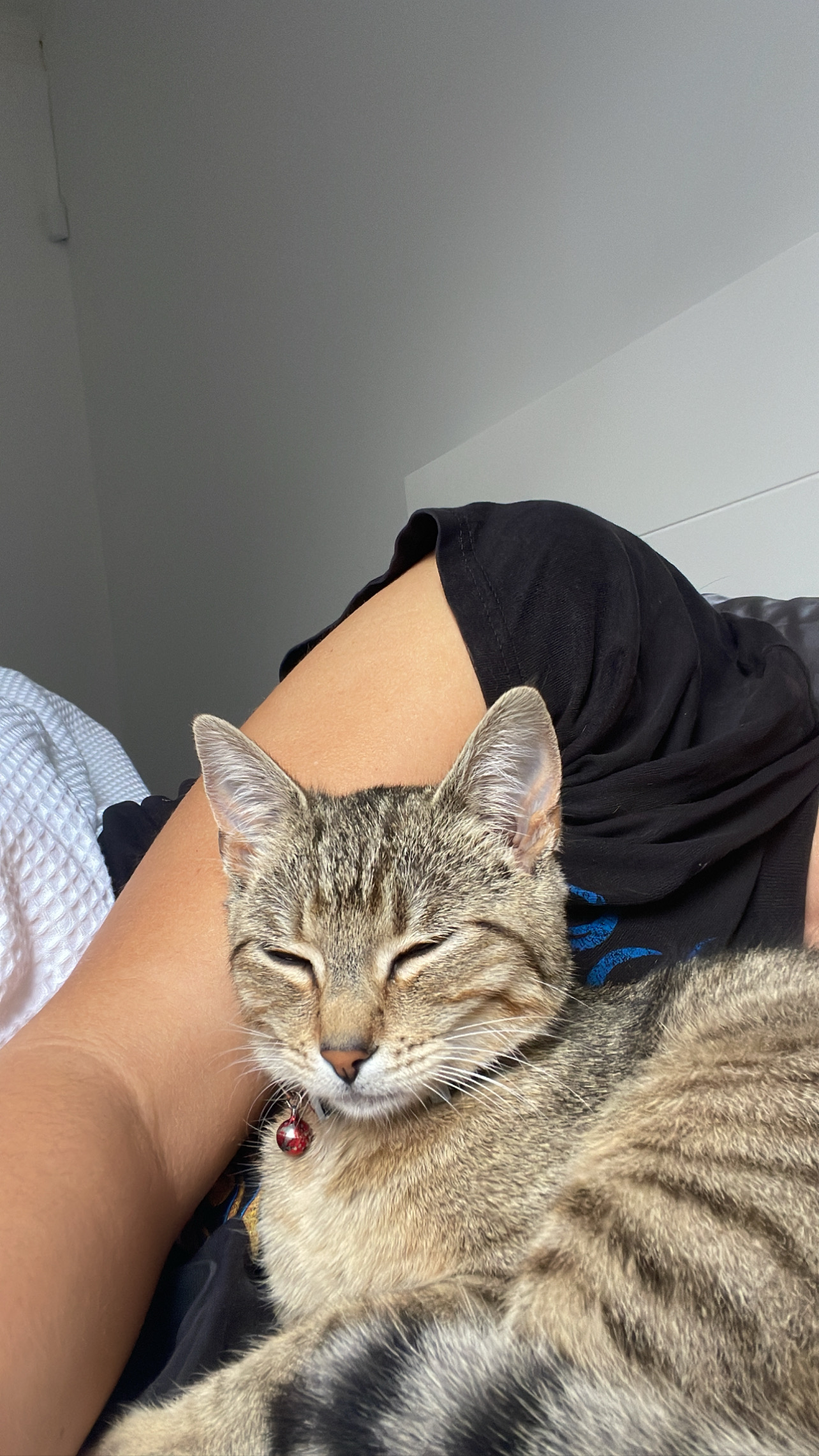 image-9