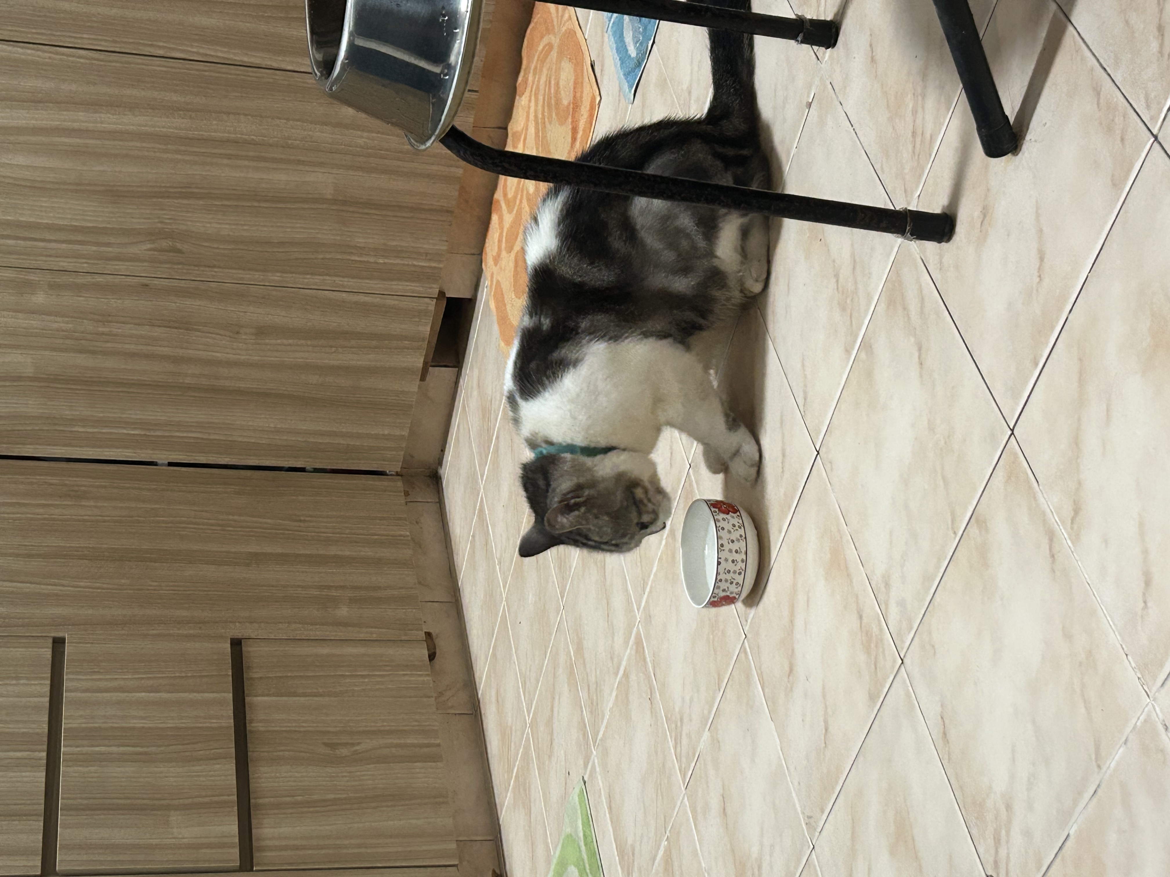 image-7