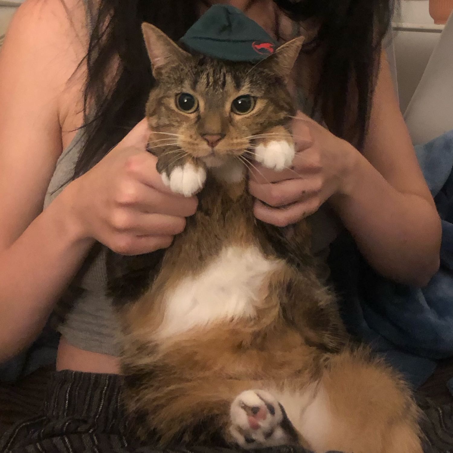 Bumpty 