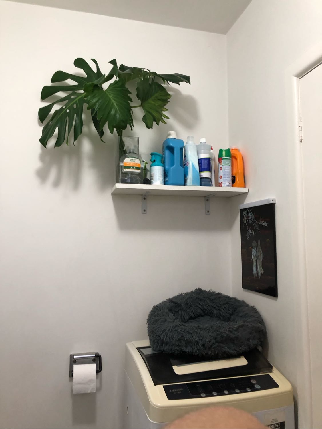 image-11