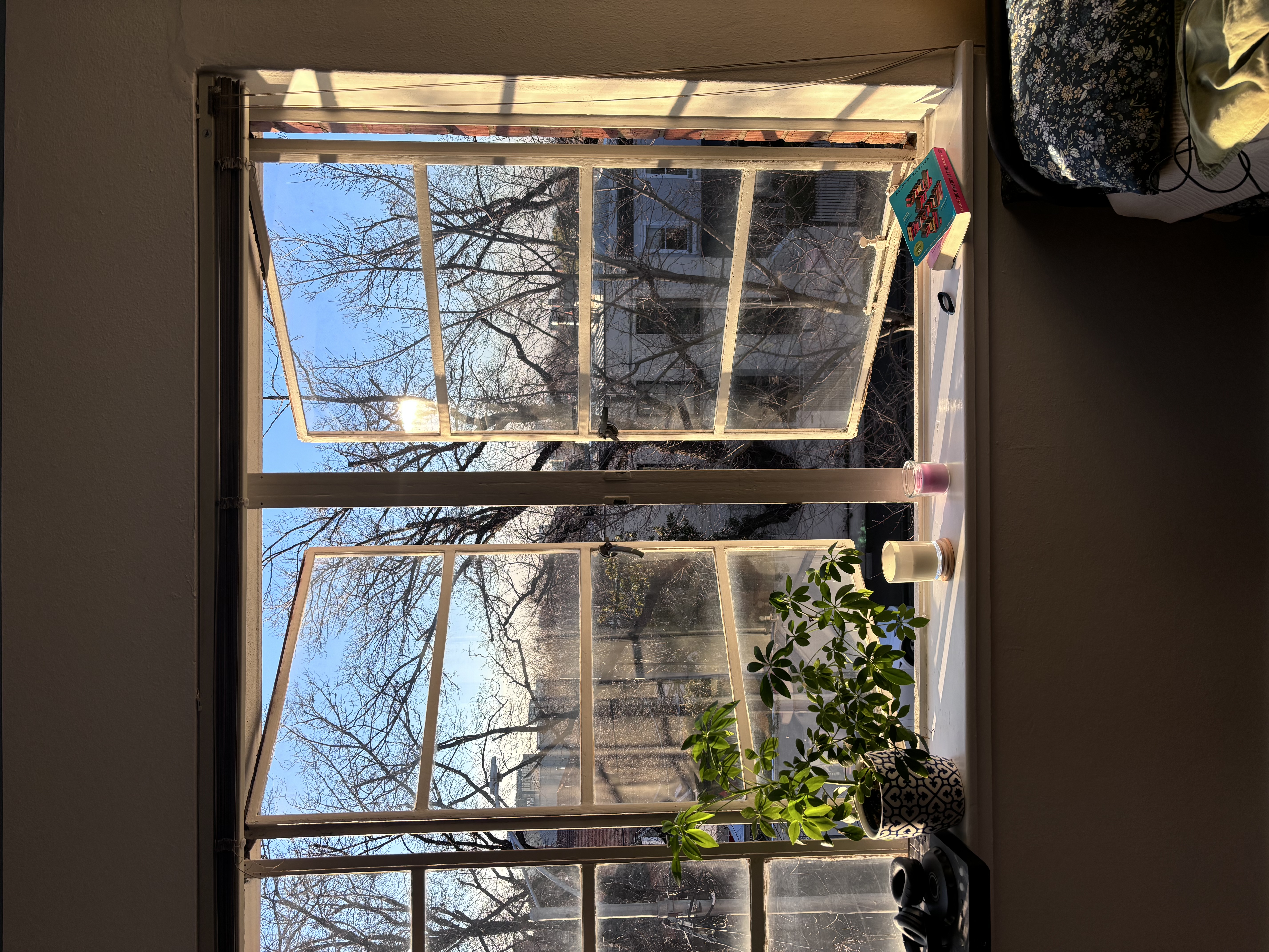 image-13