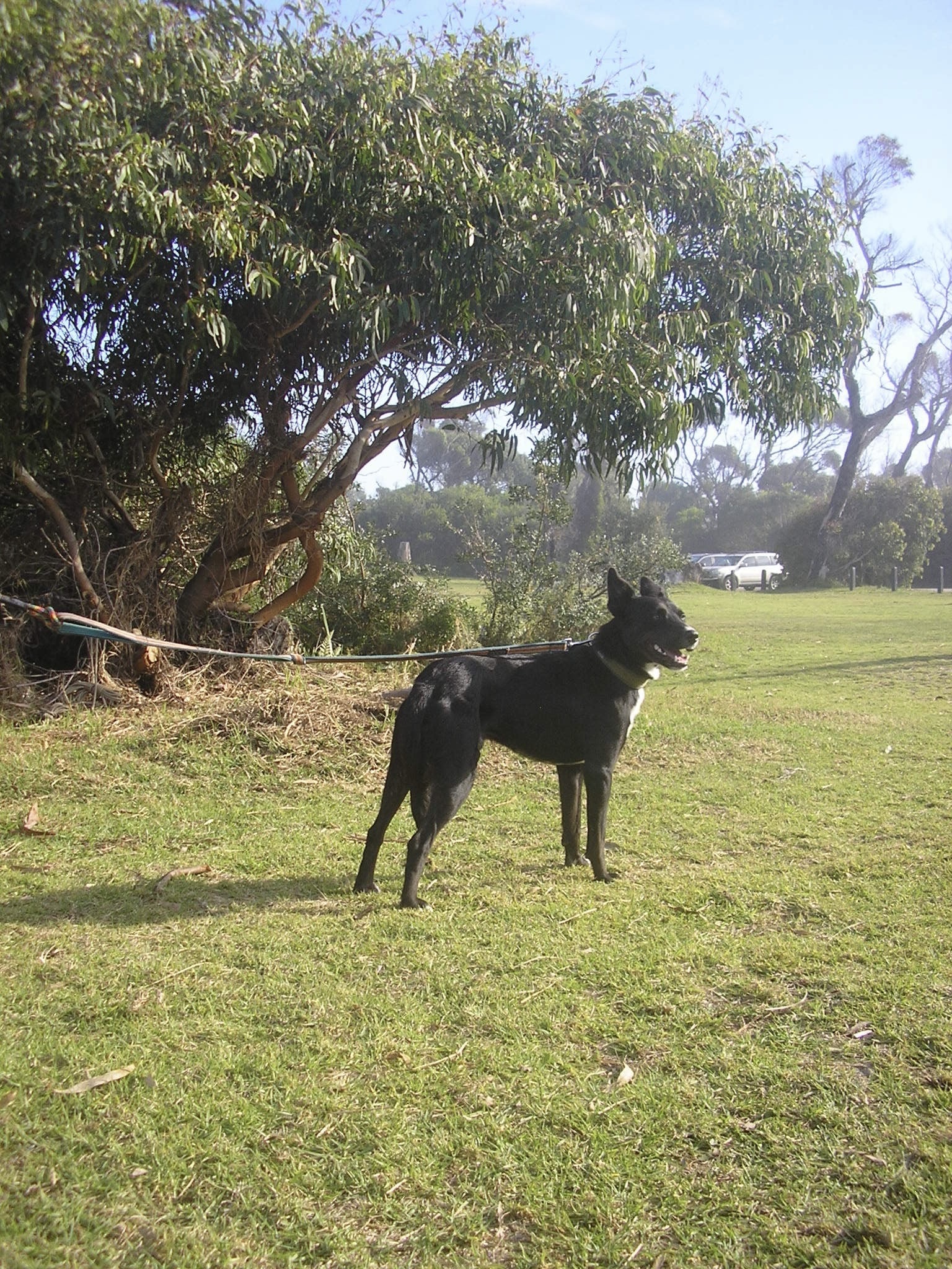image-7