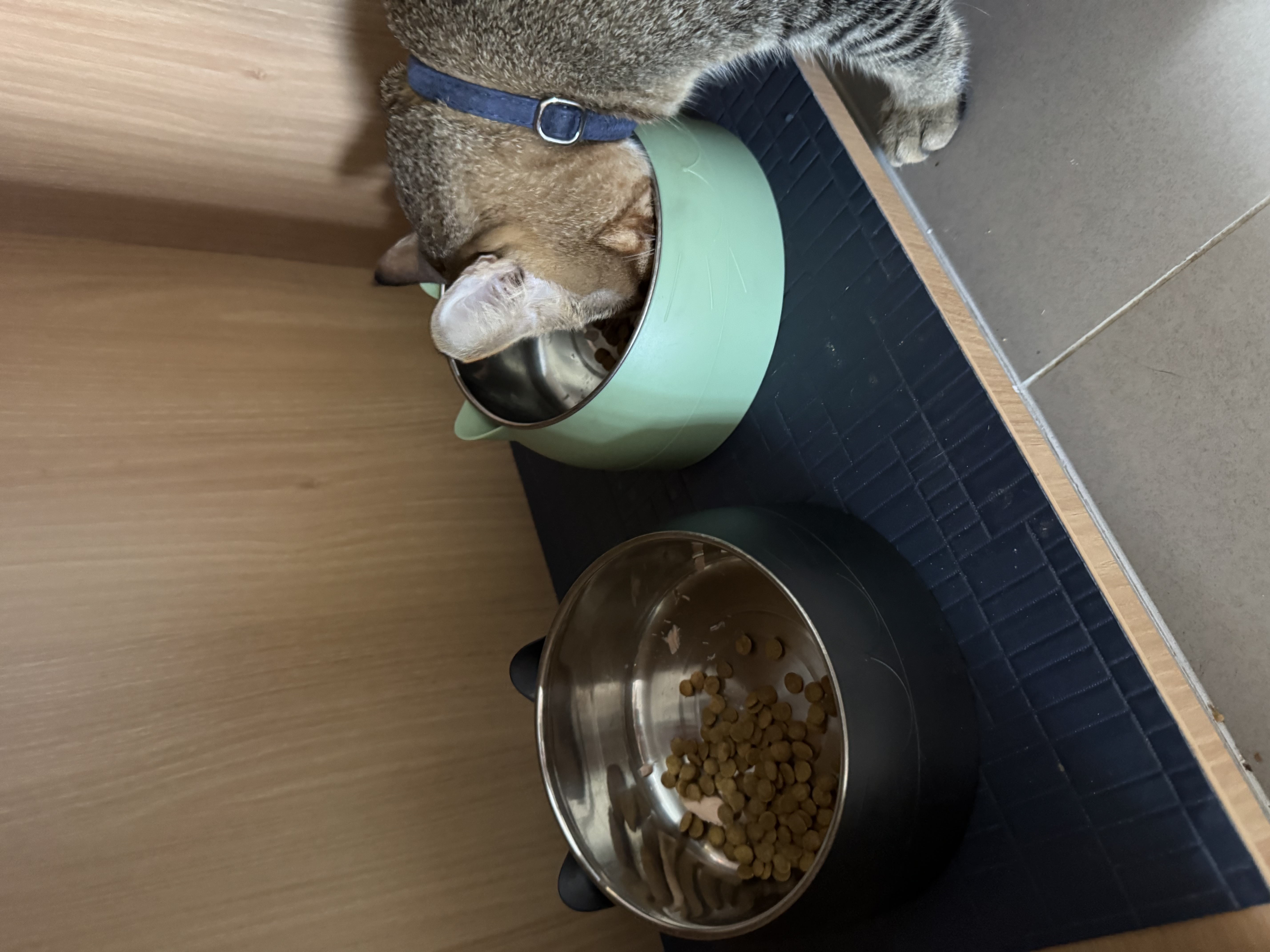 image-8