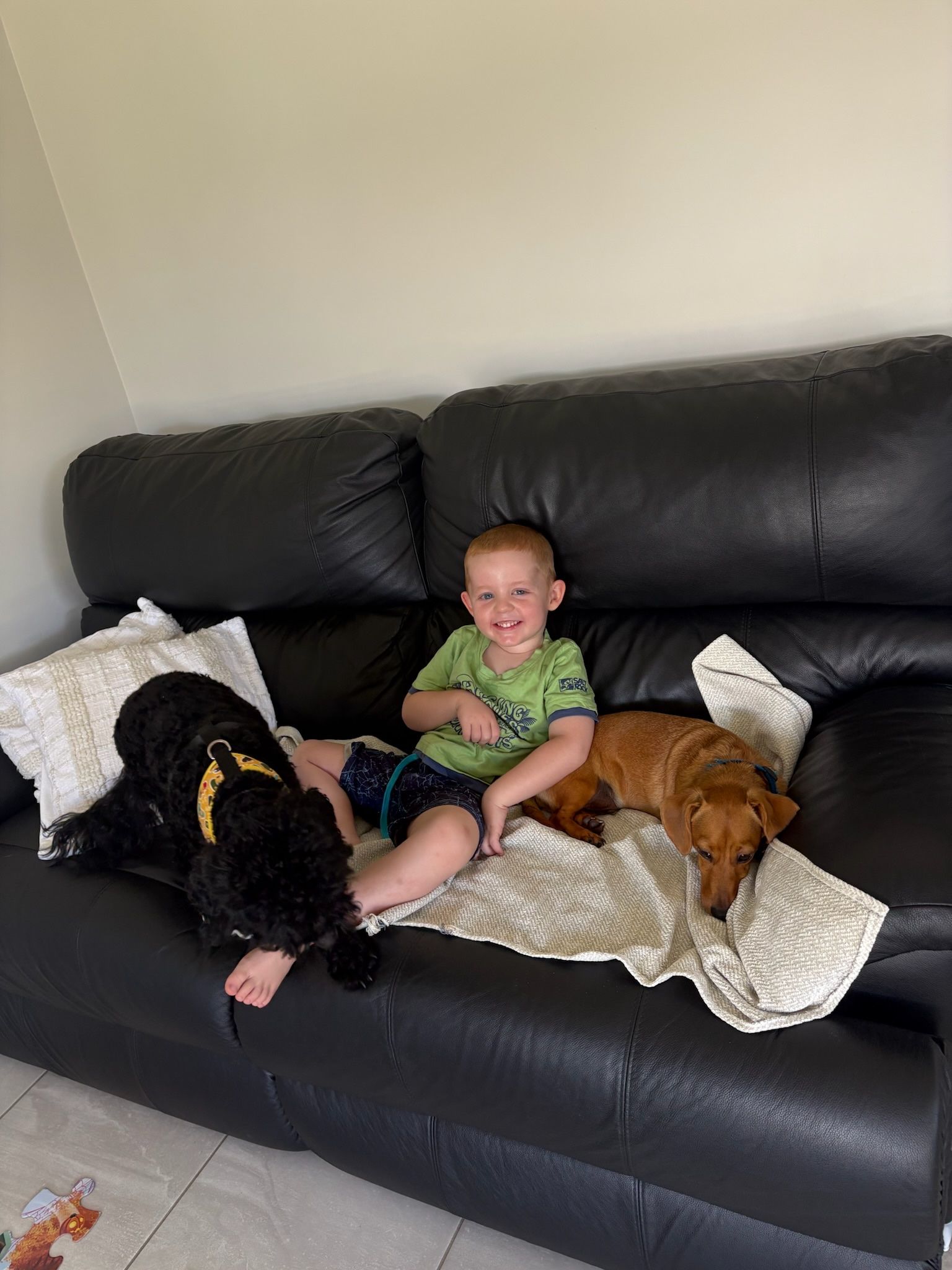 image-20