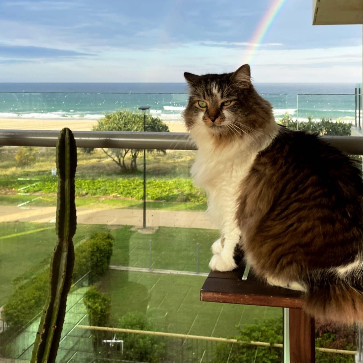 Lord Marbles