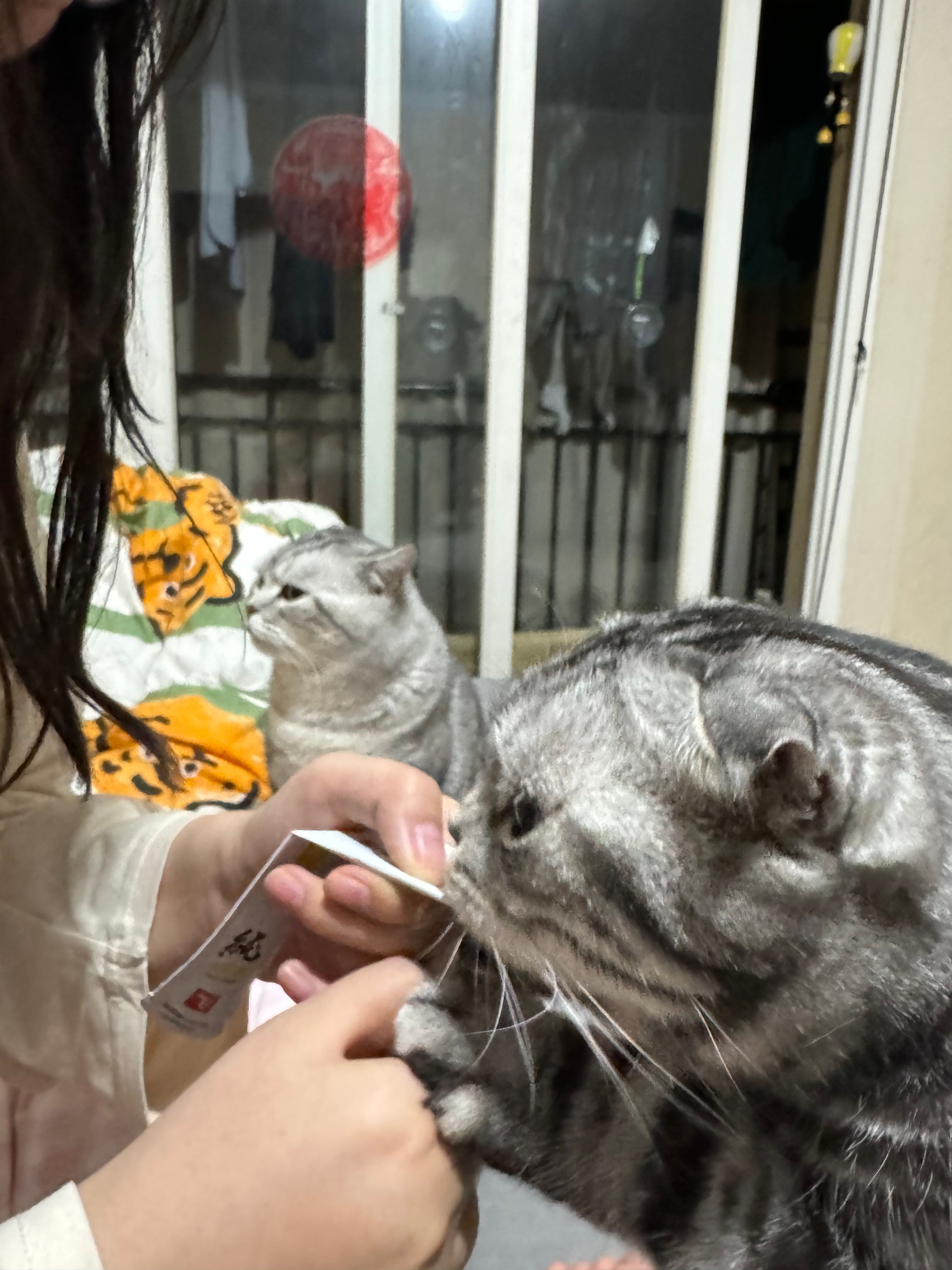 image-6