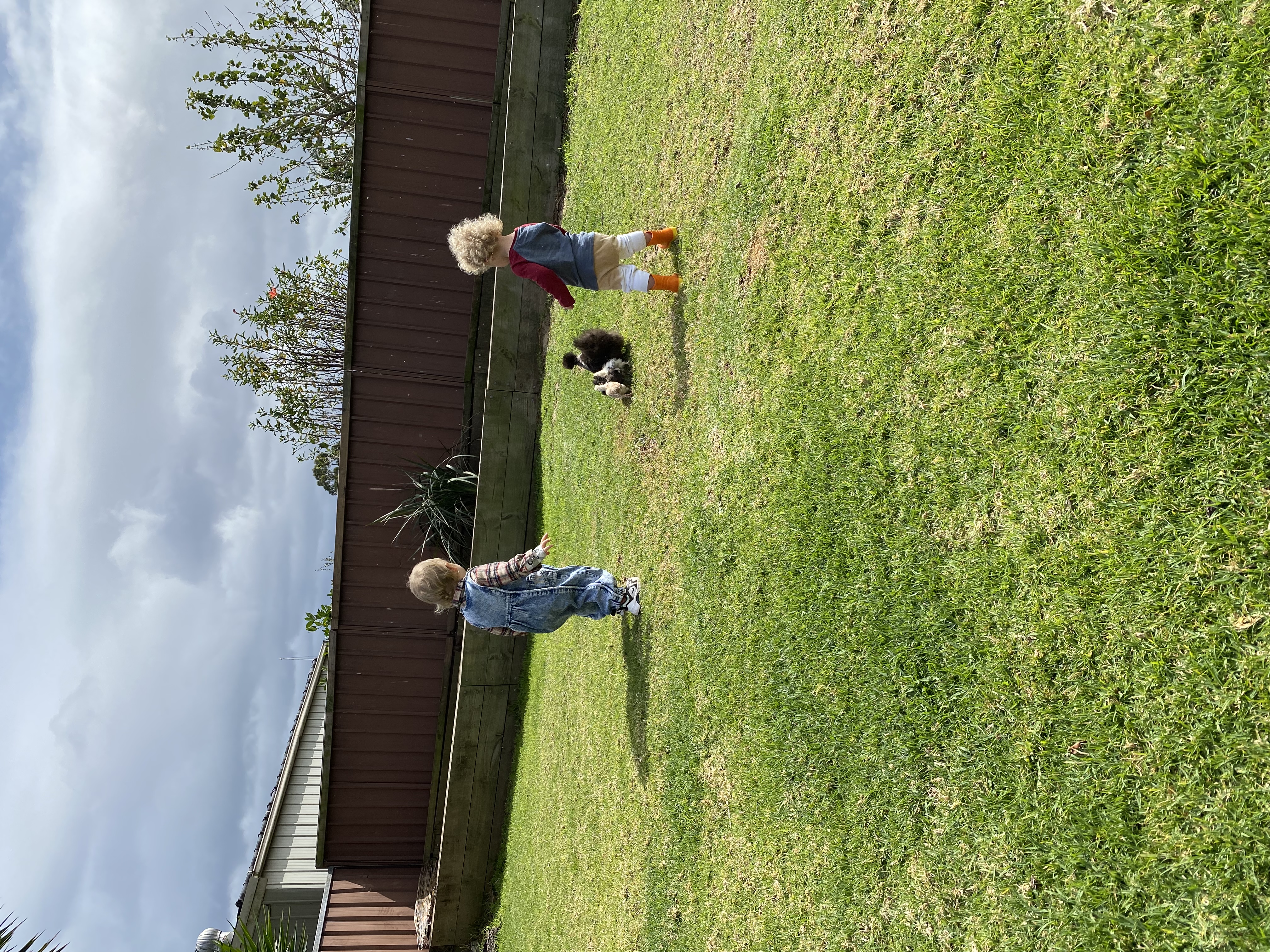 image-12