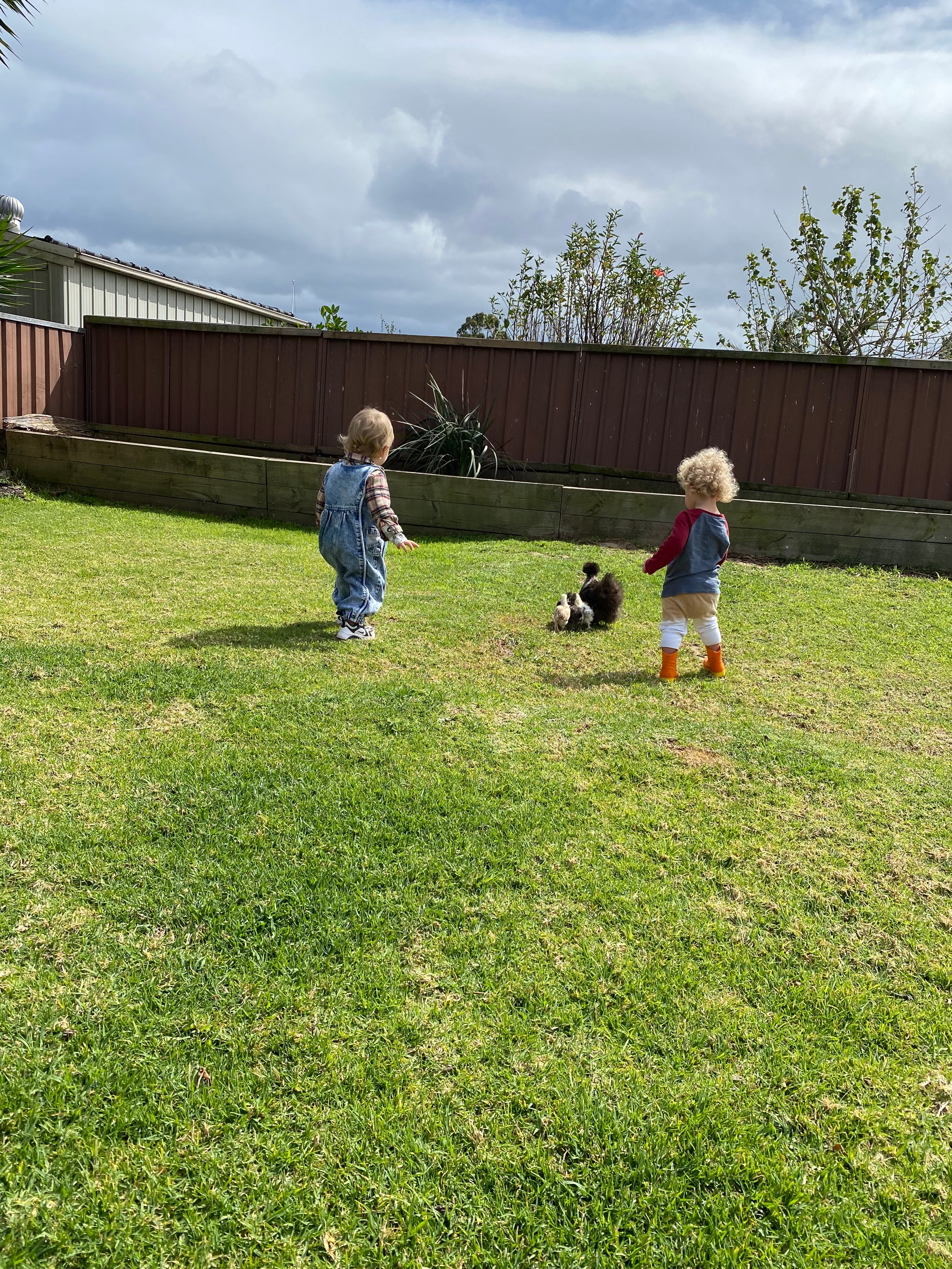 image-12