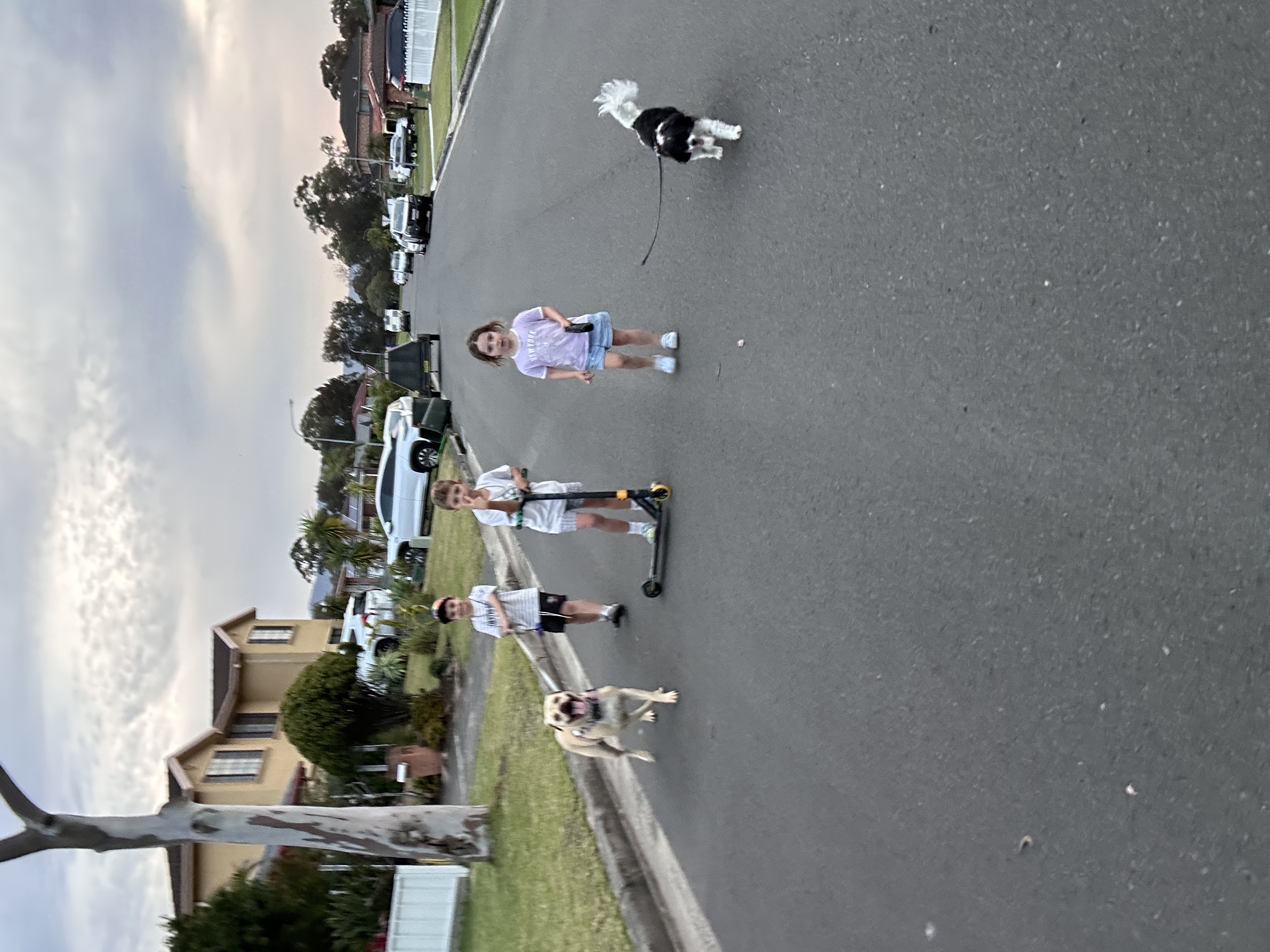 image-15
