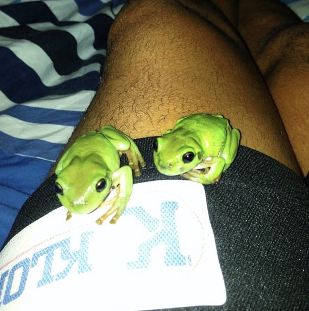 image-6