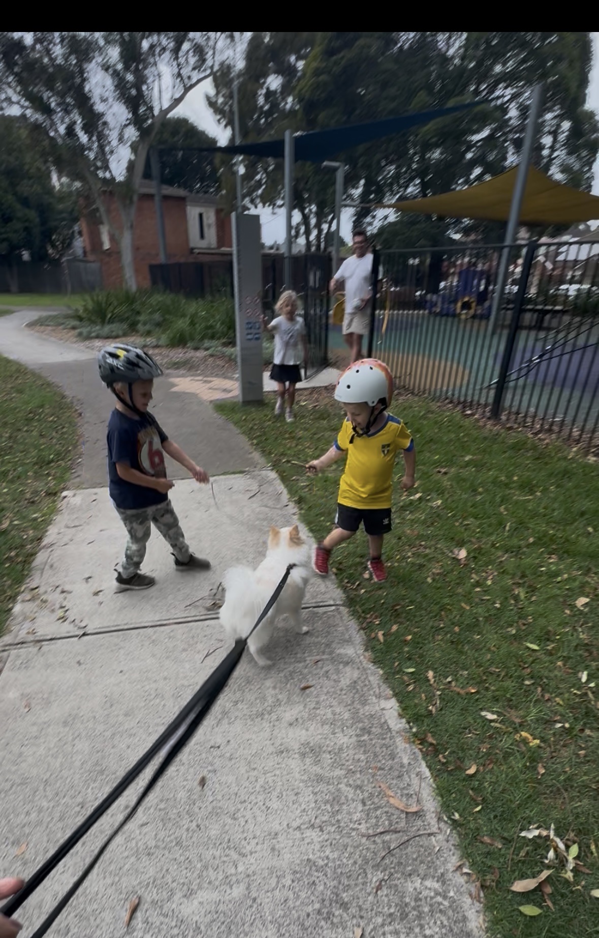 image-10