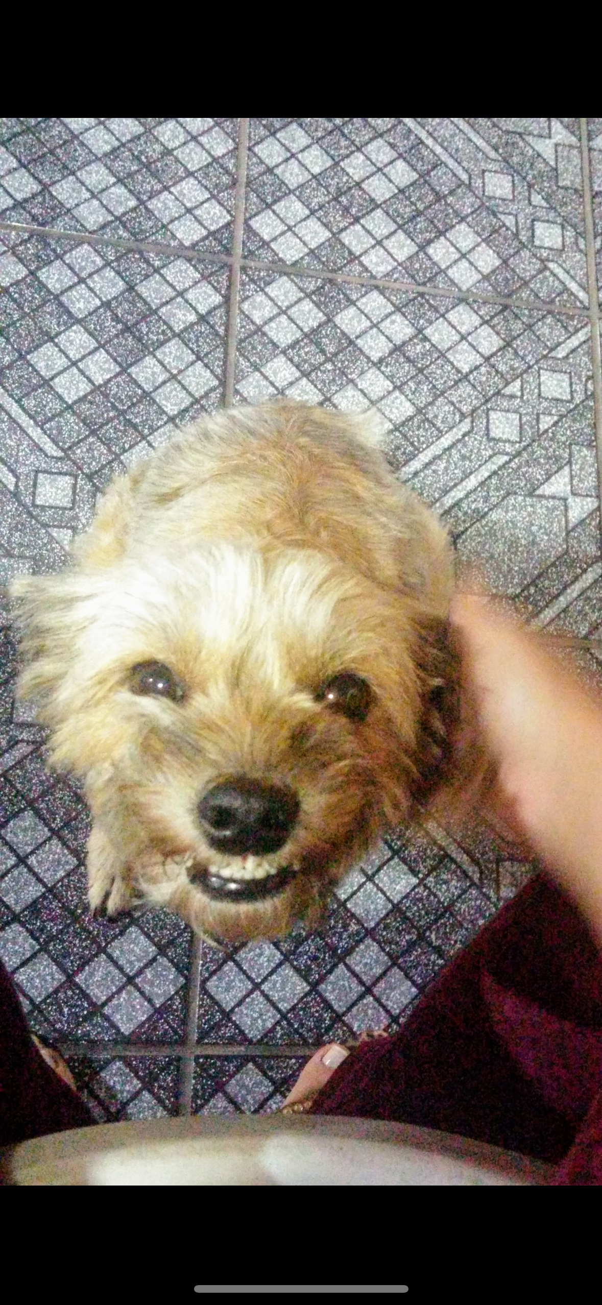 image-3