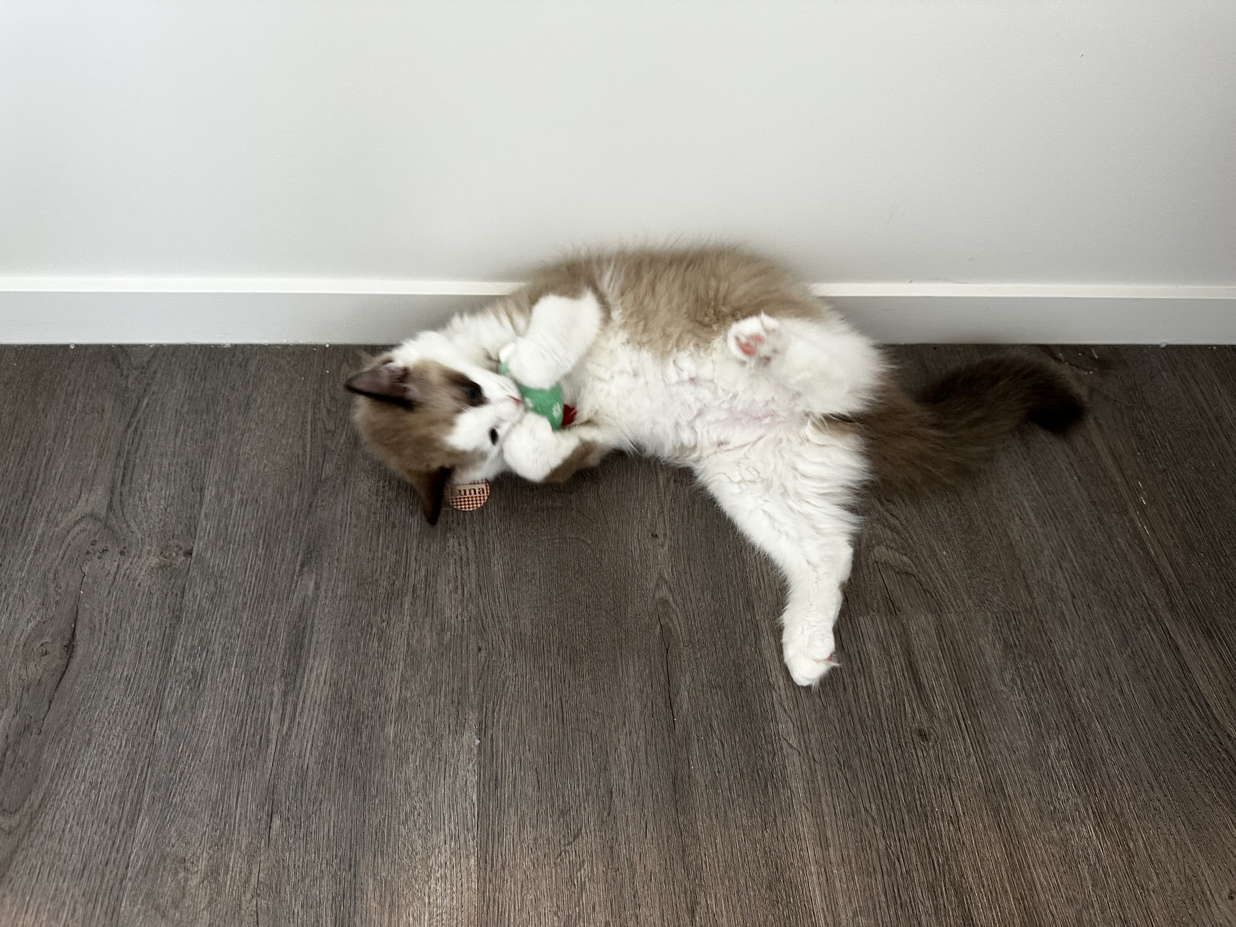 image-9