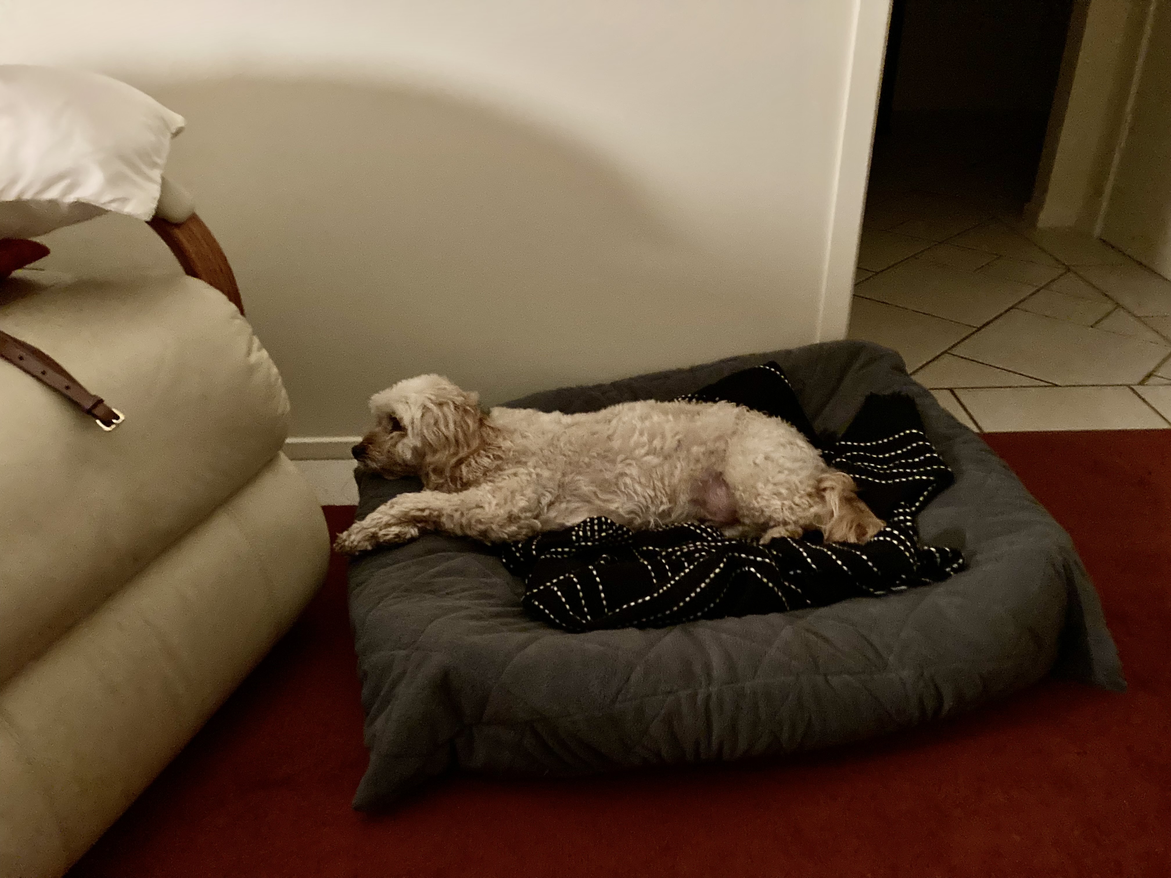 image-7