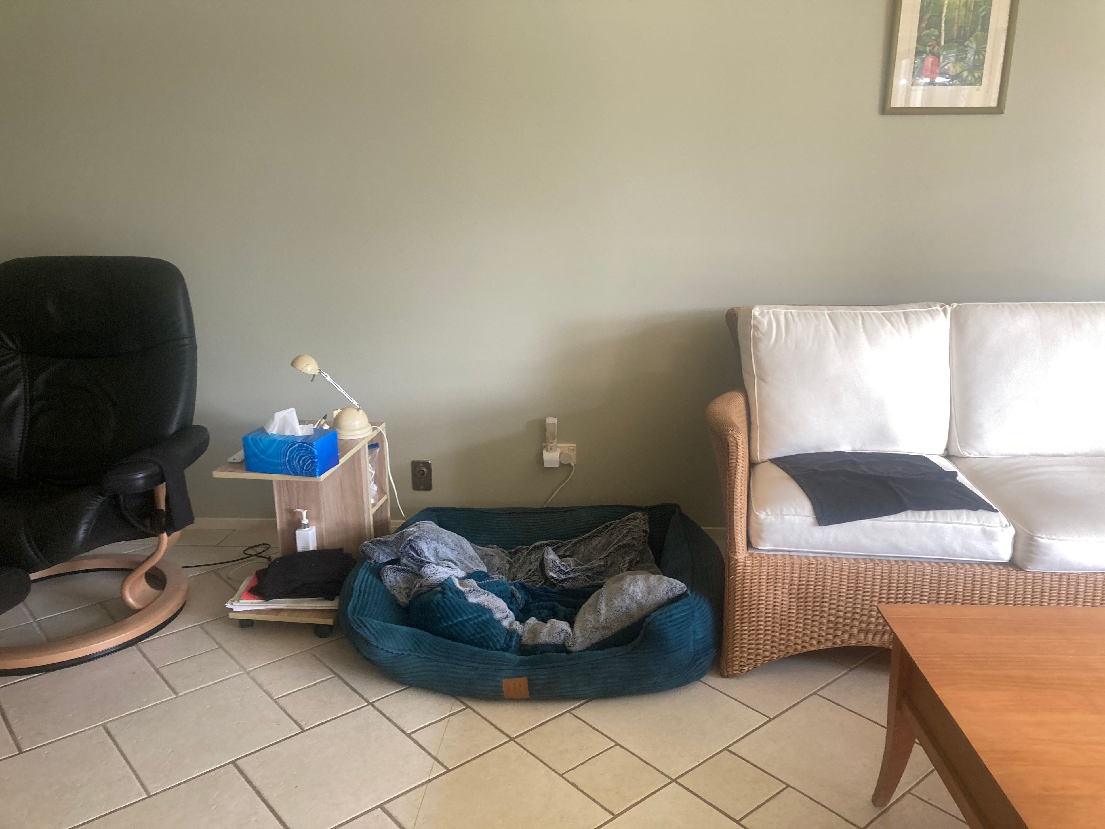 image-18