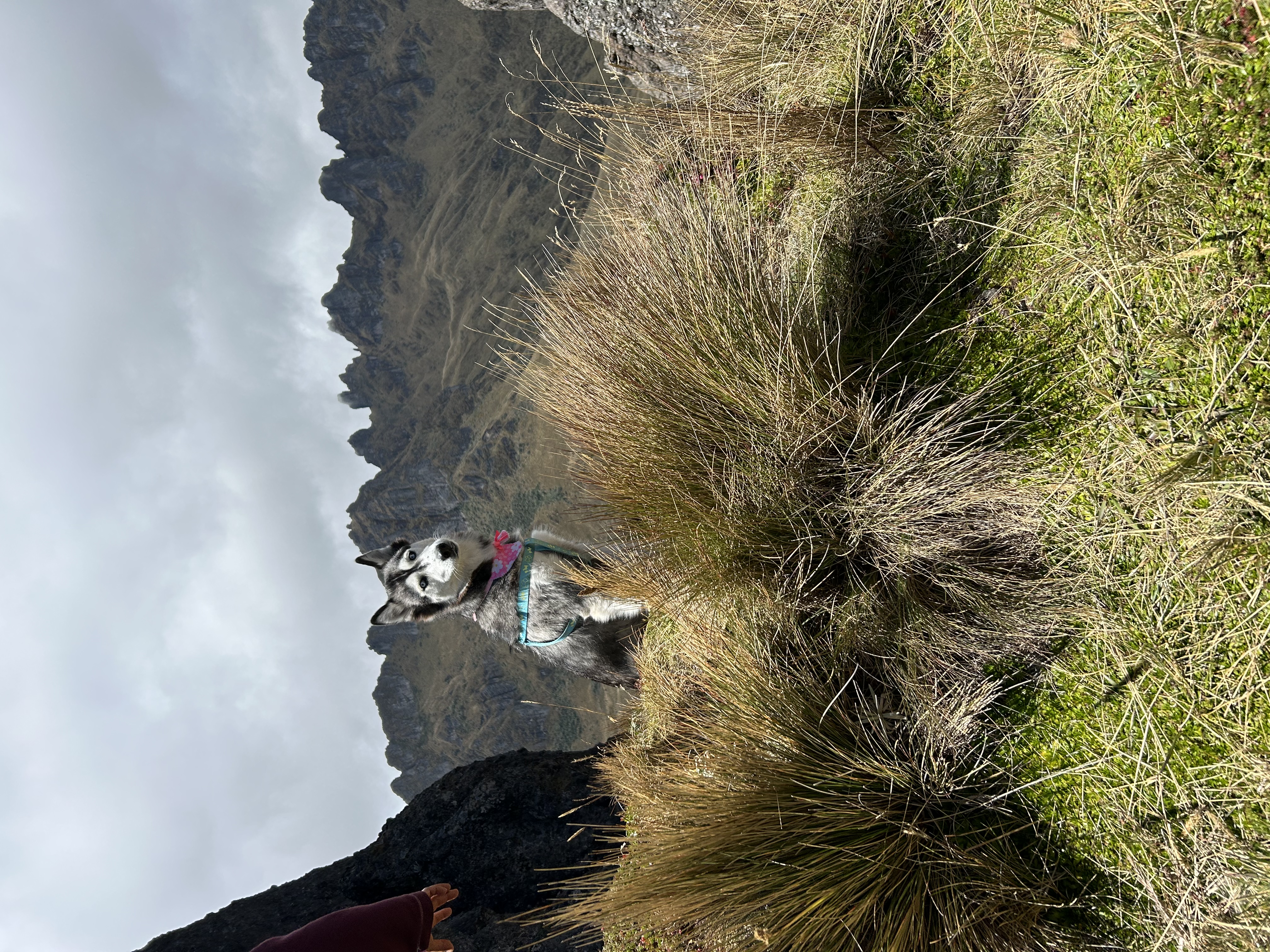 image-4