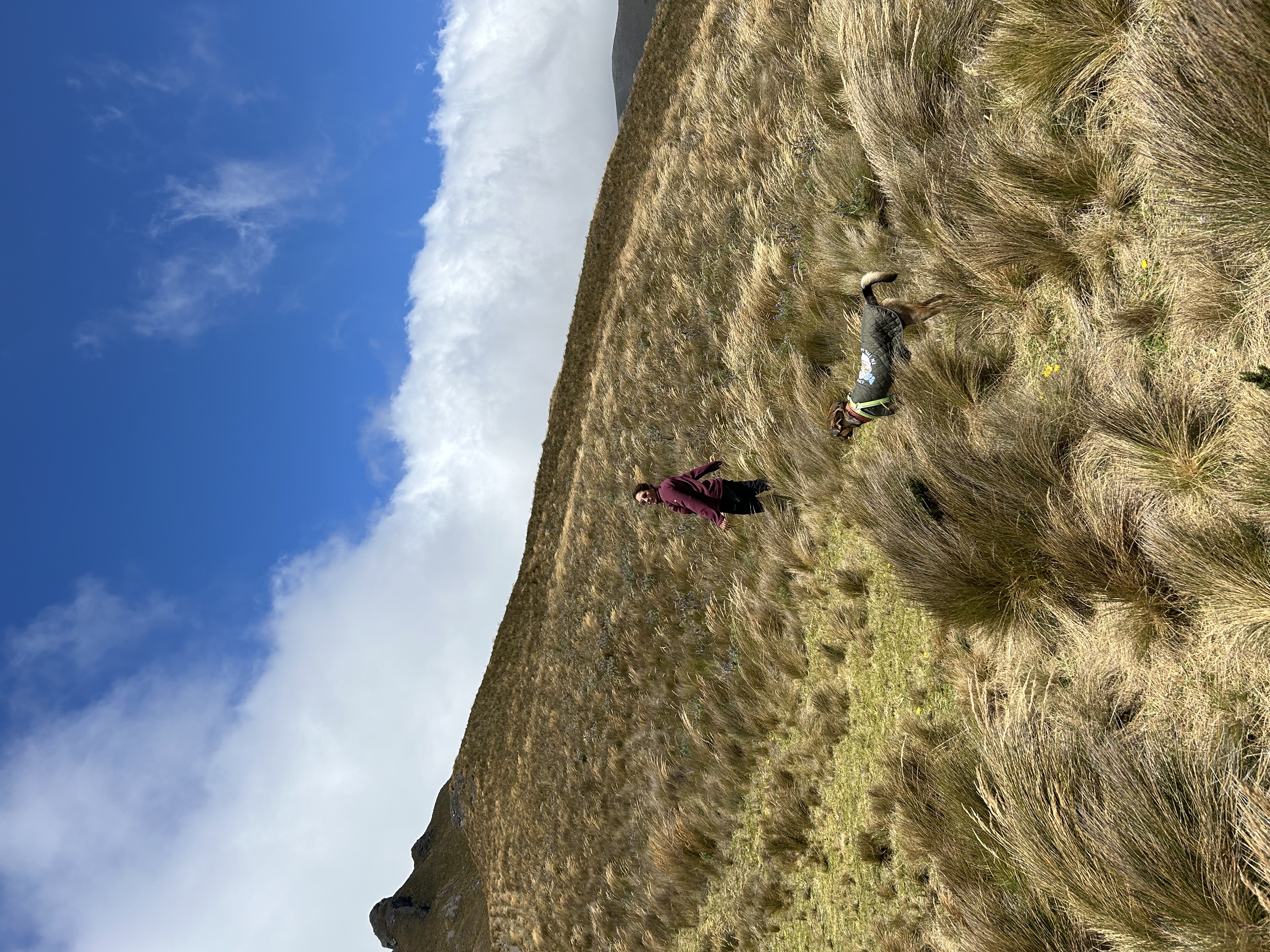 image-0