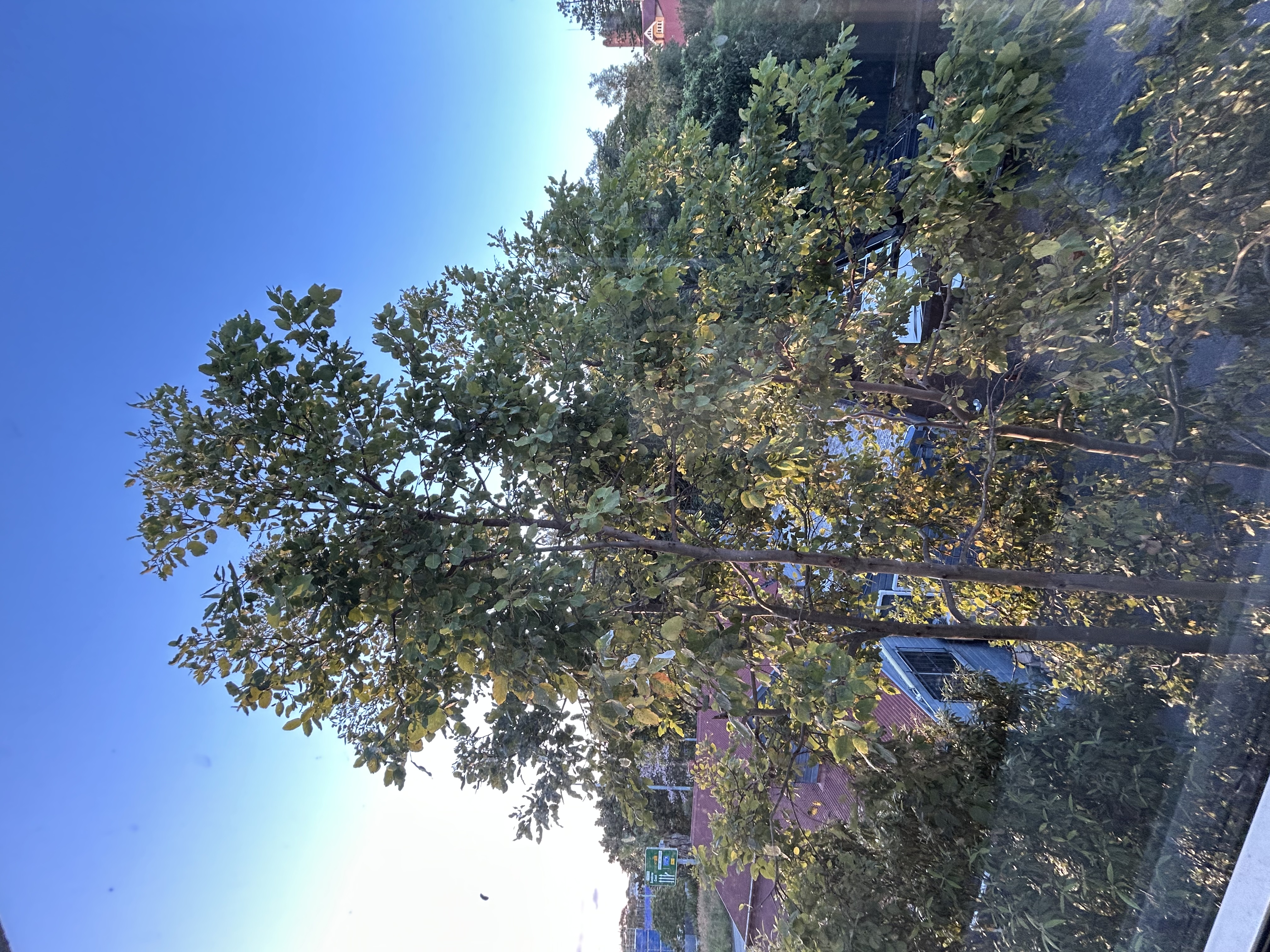 image-20