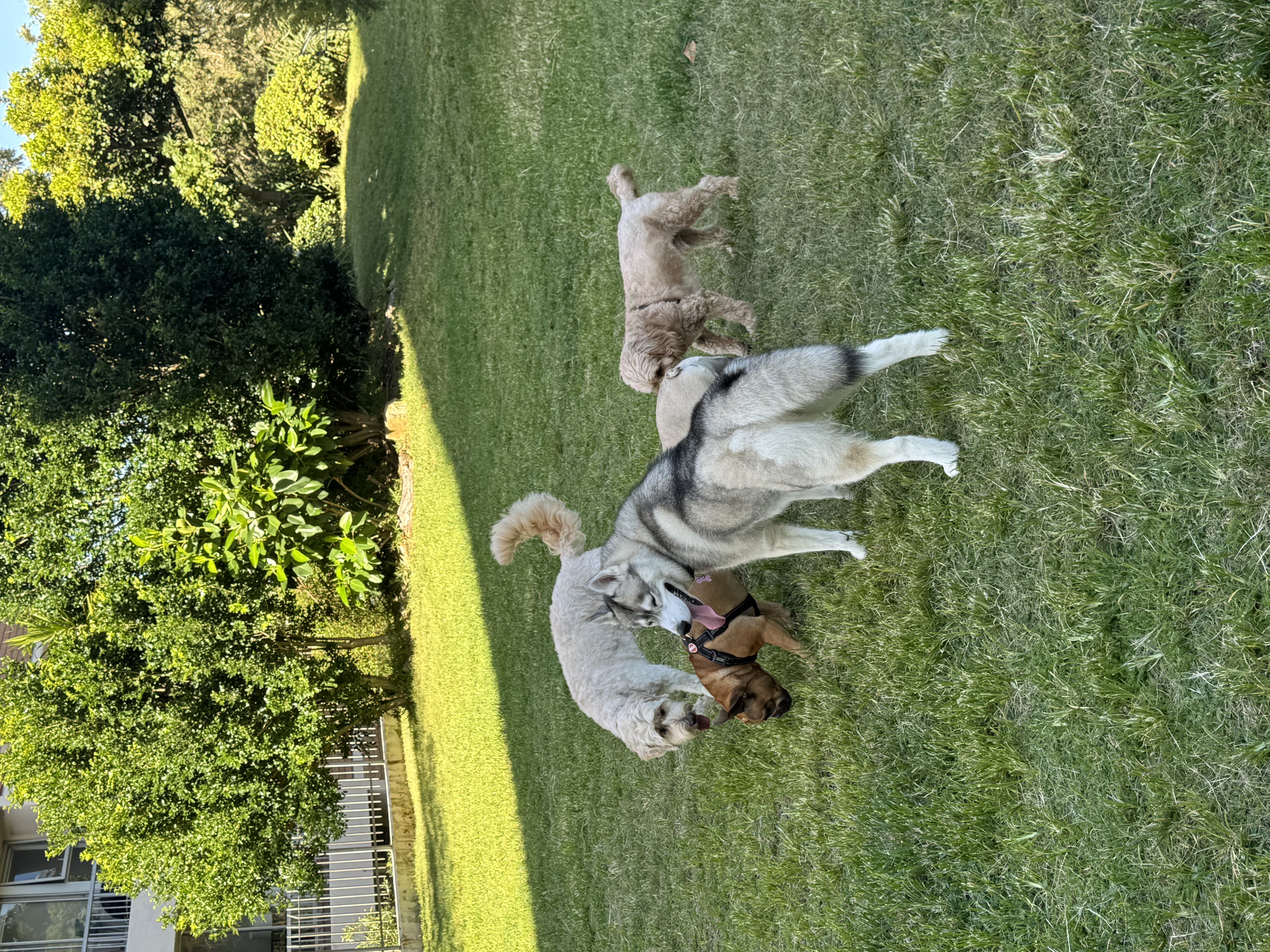 image-11