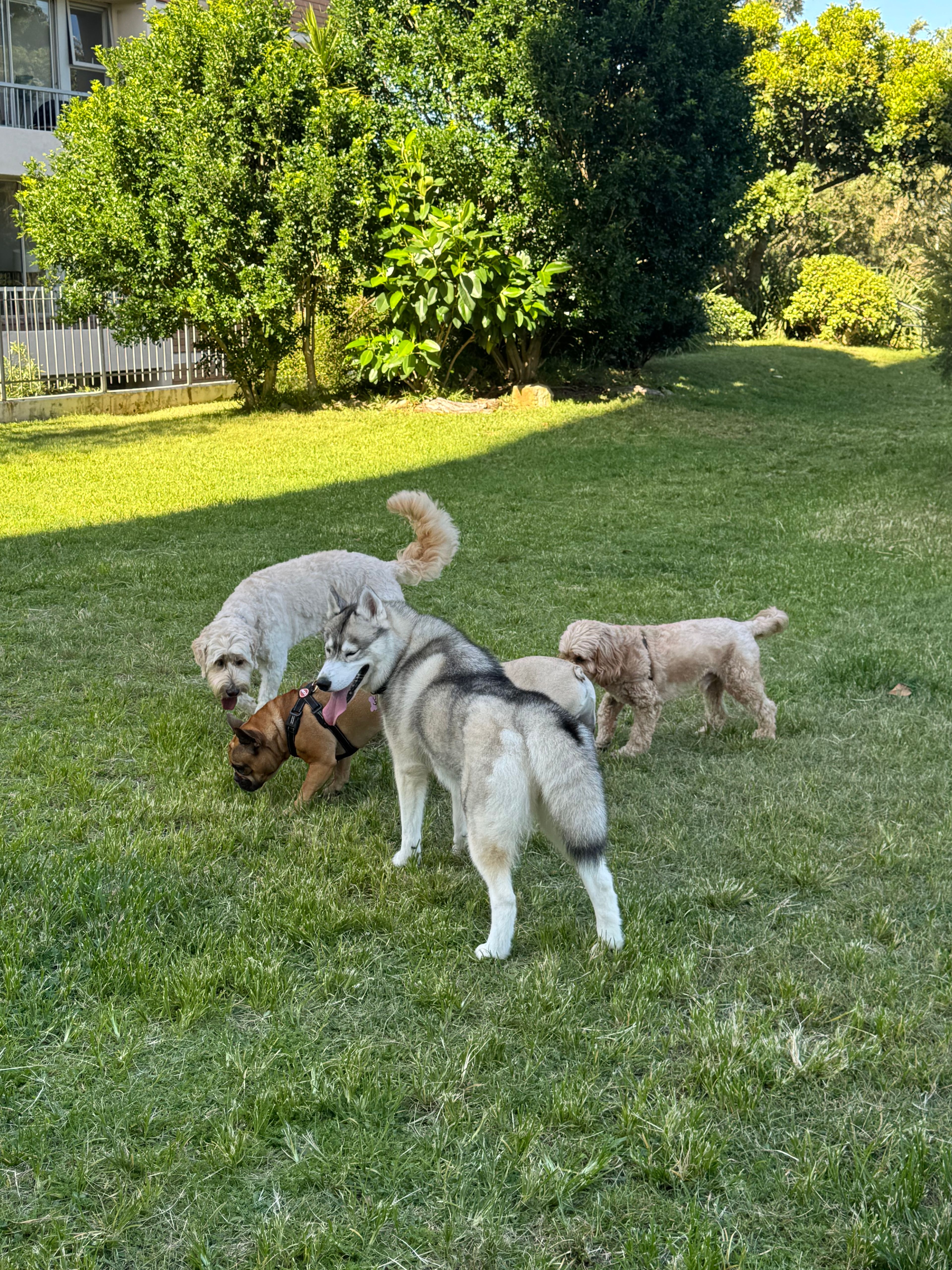 image-11