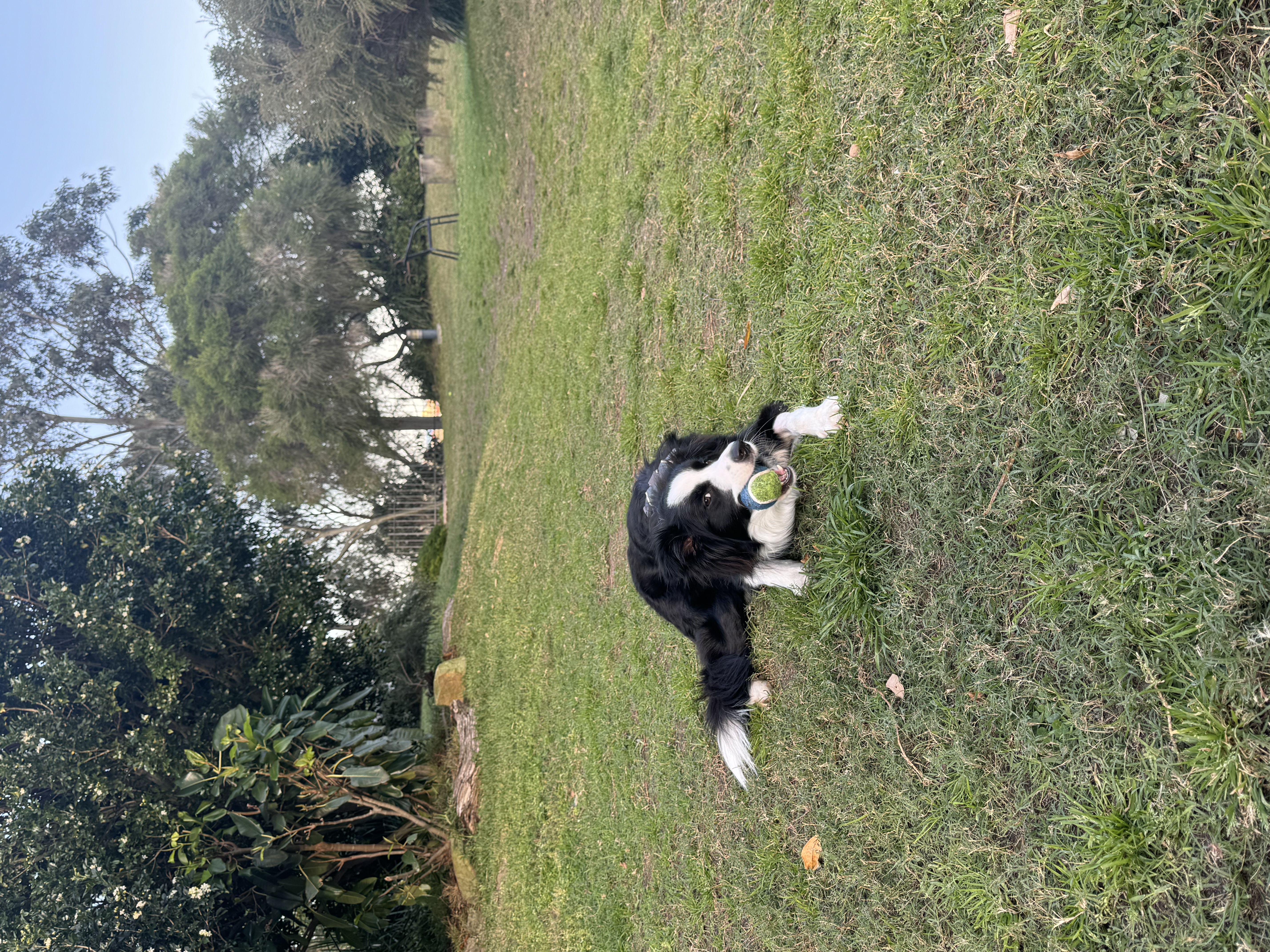 image-17