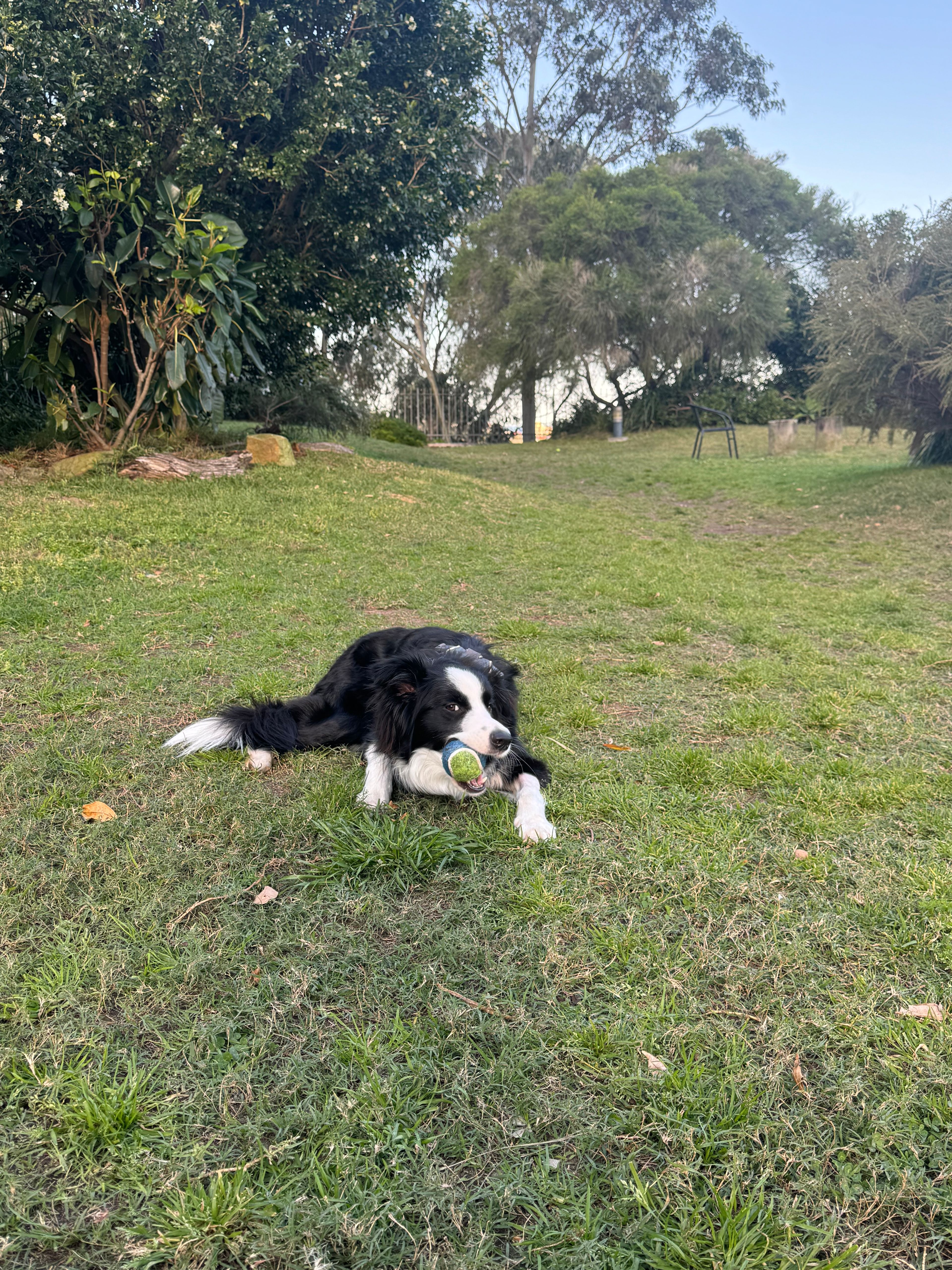 image-17