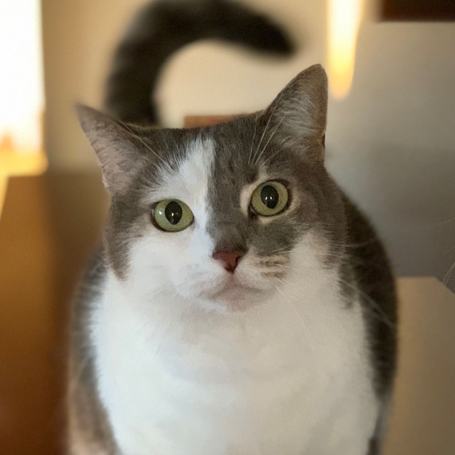 Ruby