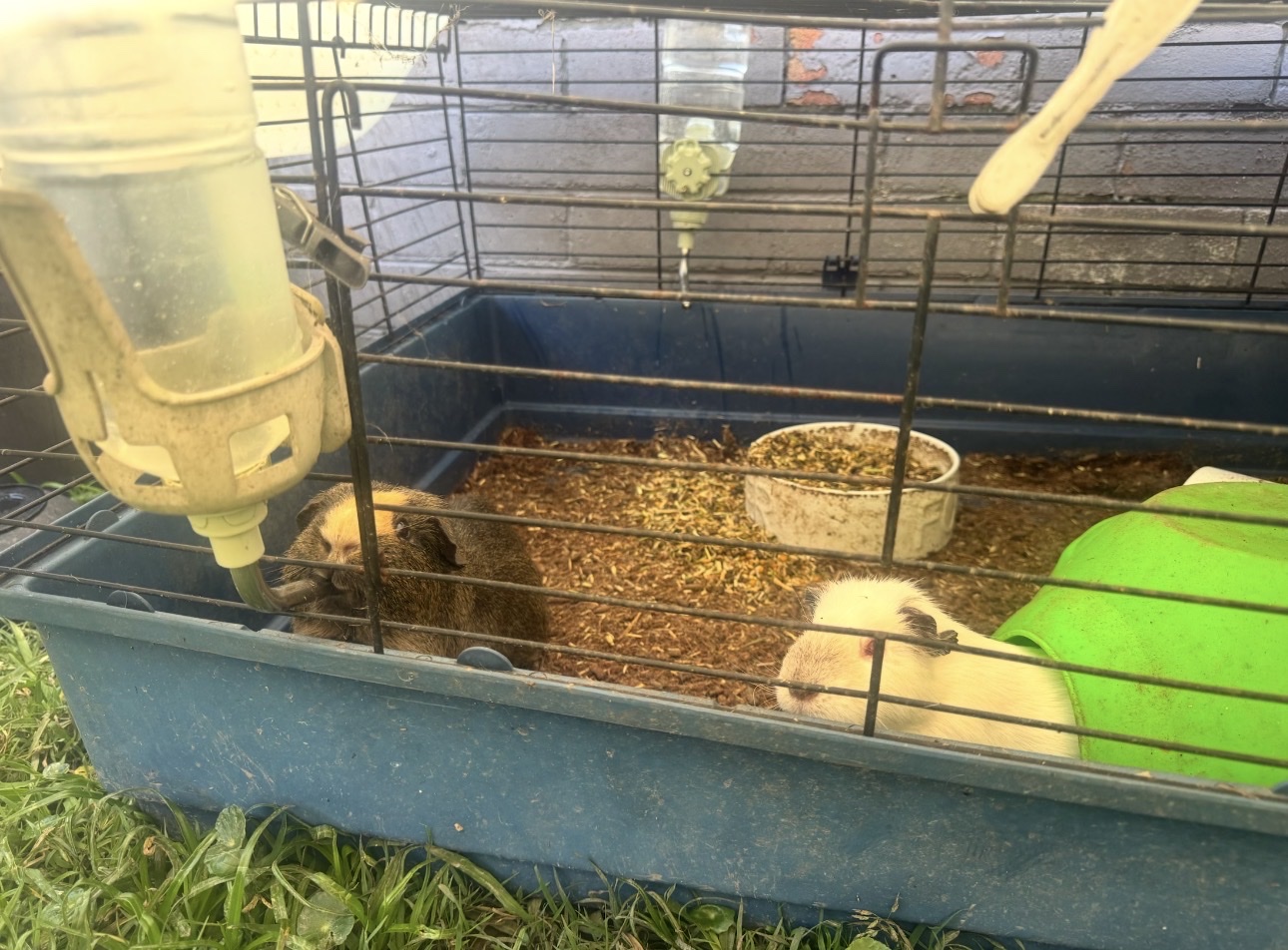 image-13