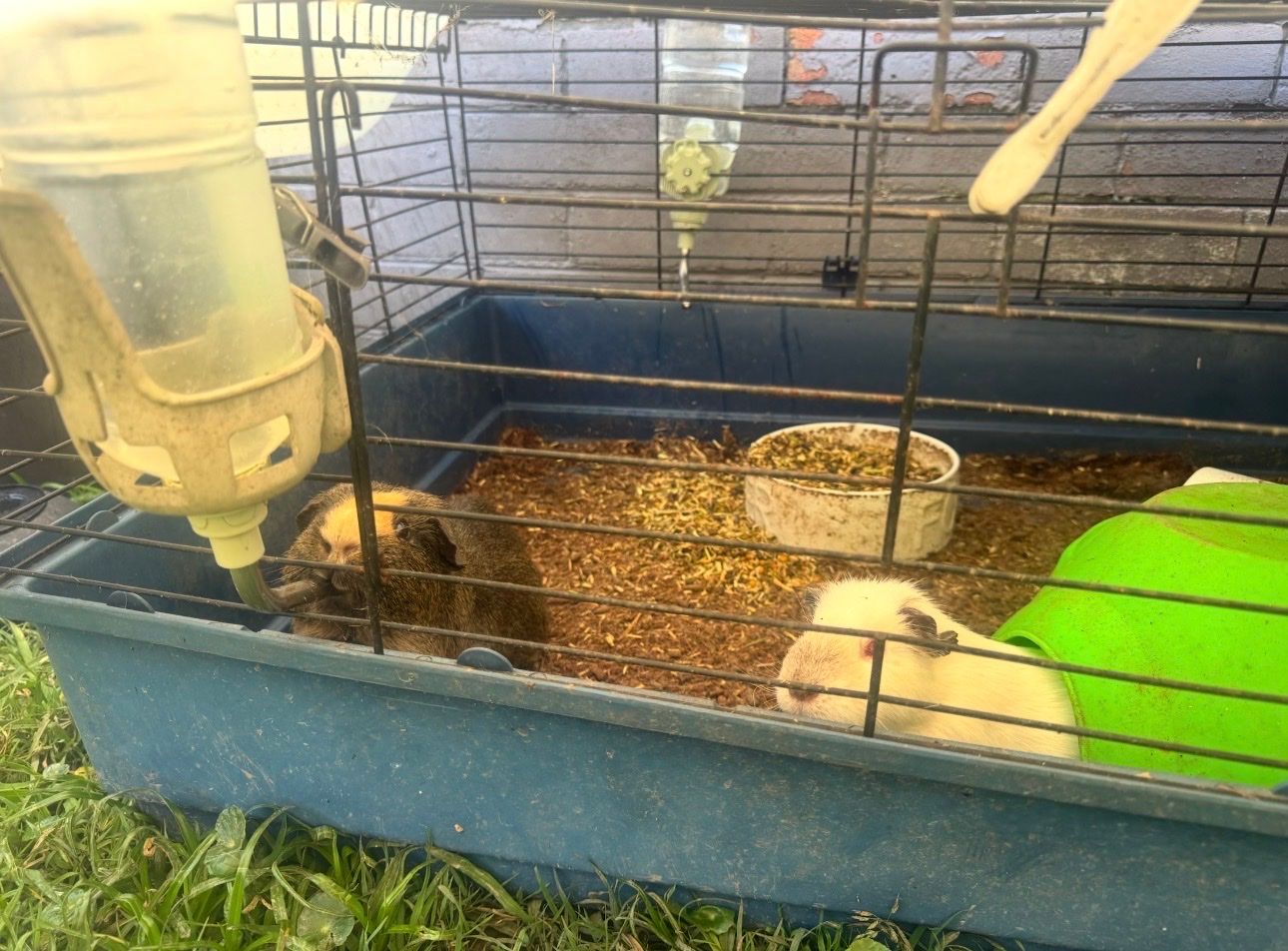 image-13