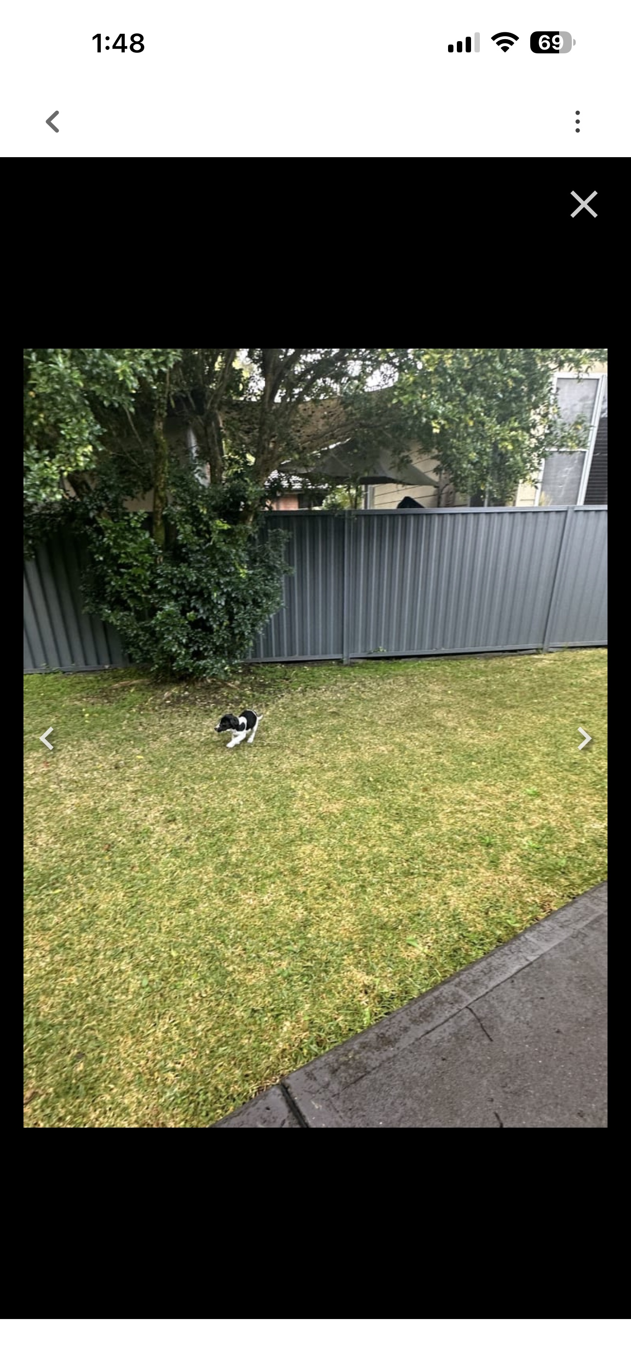 image-14