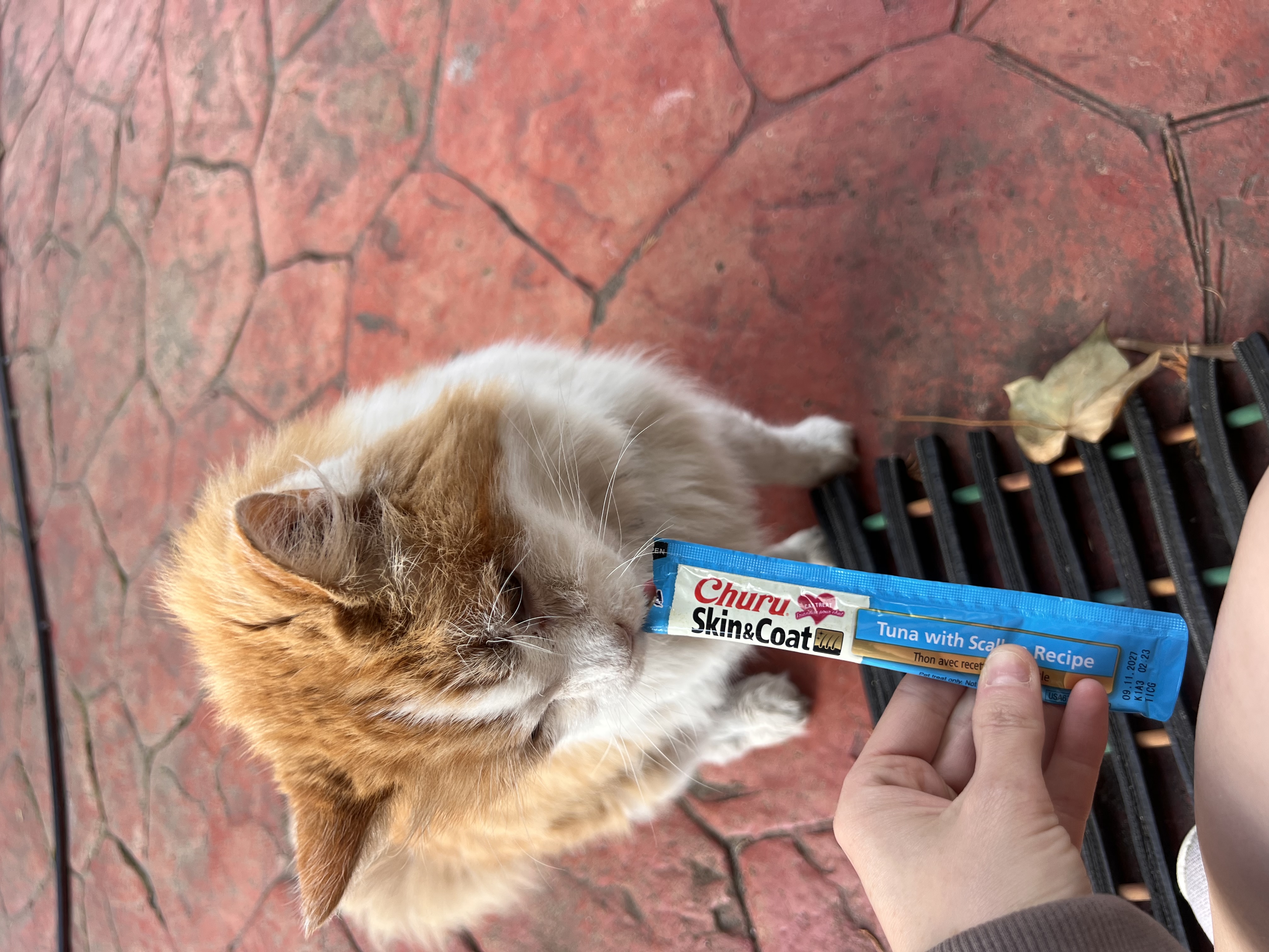 image-9