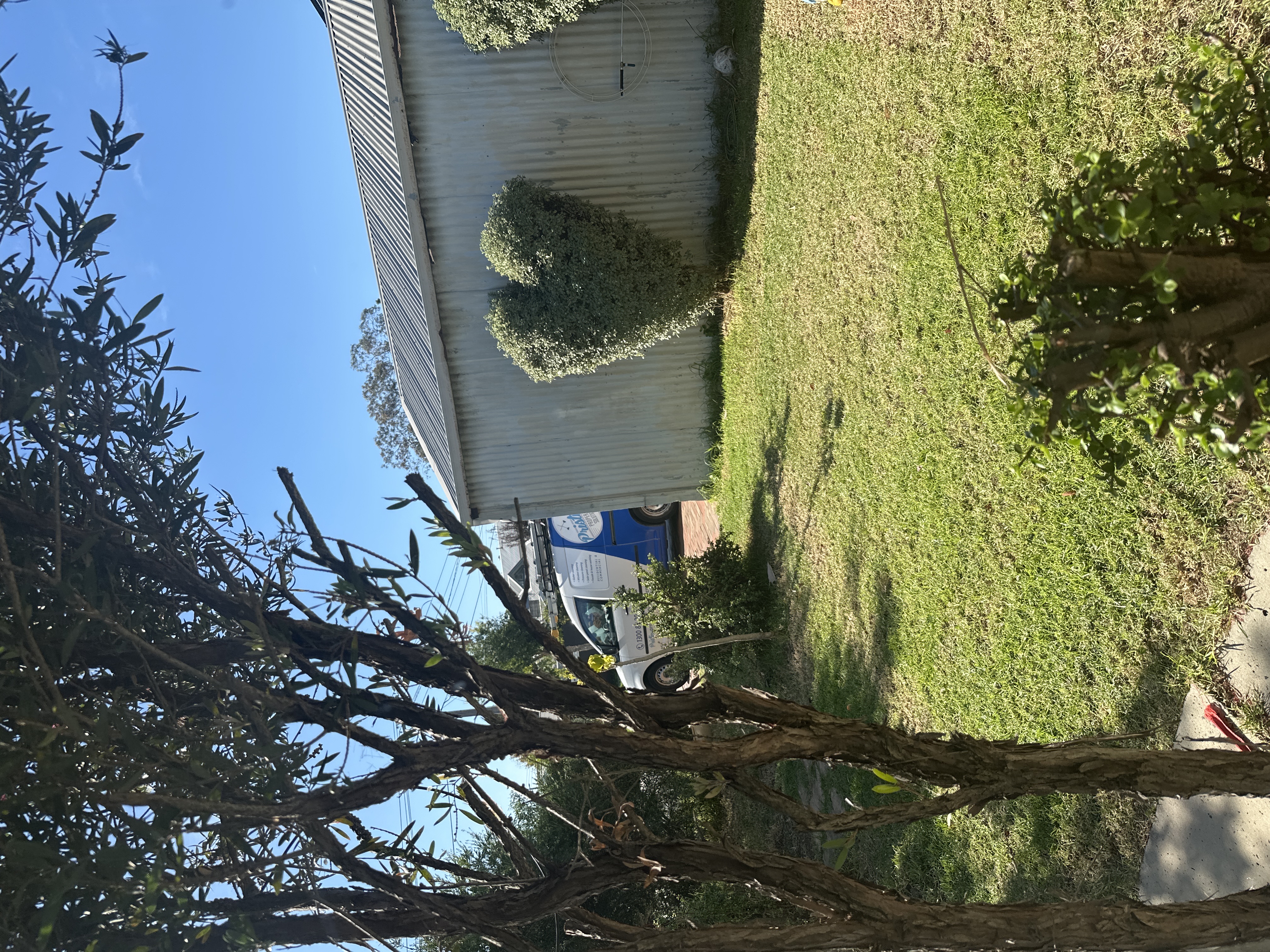 image-11