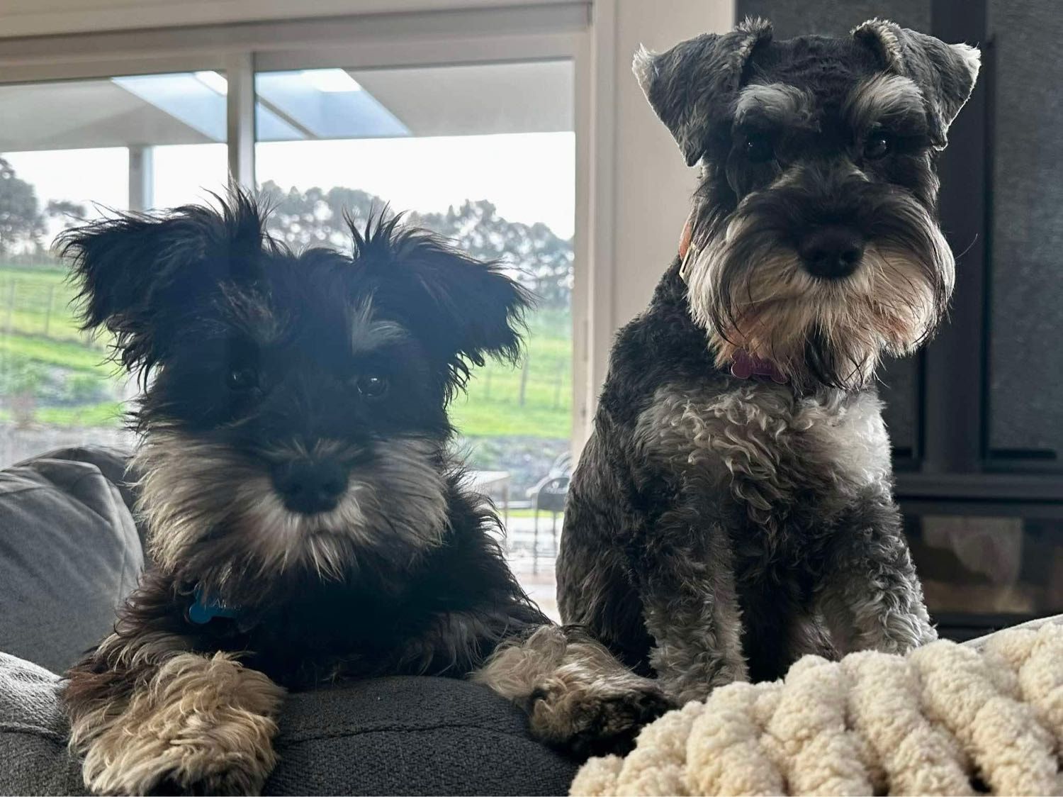 image-1