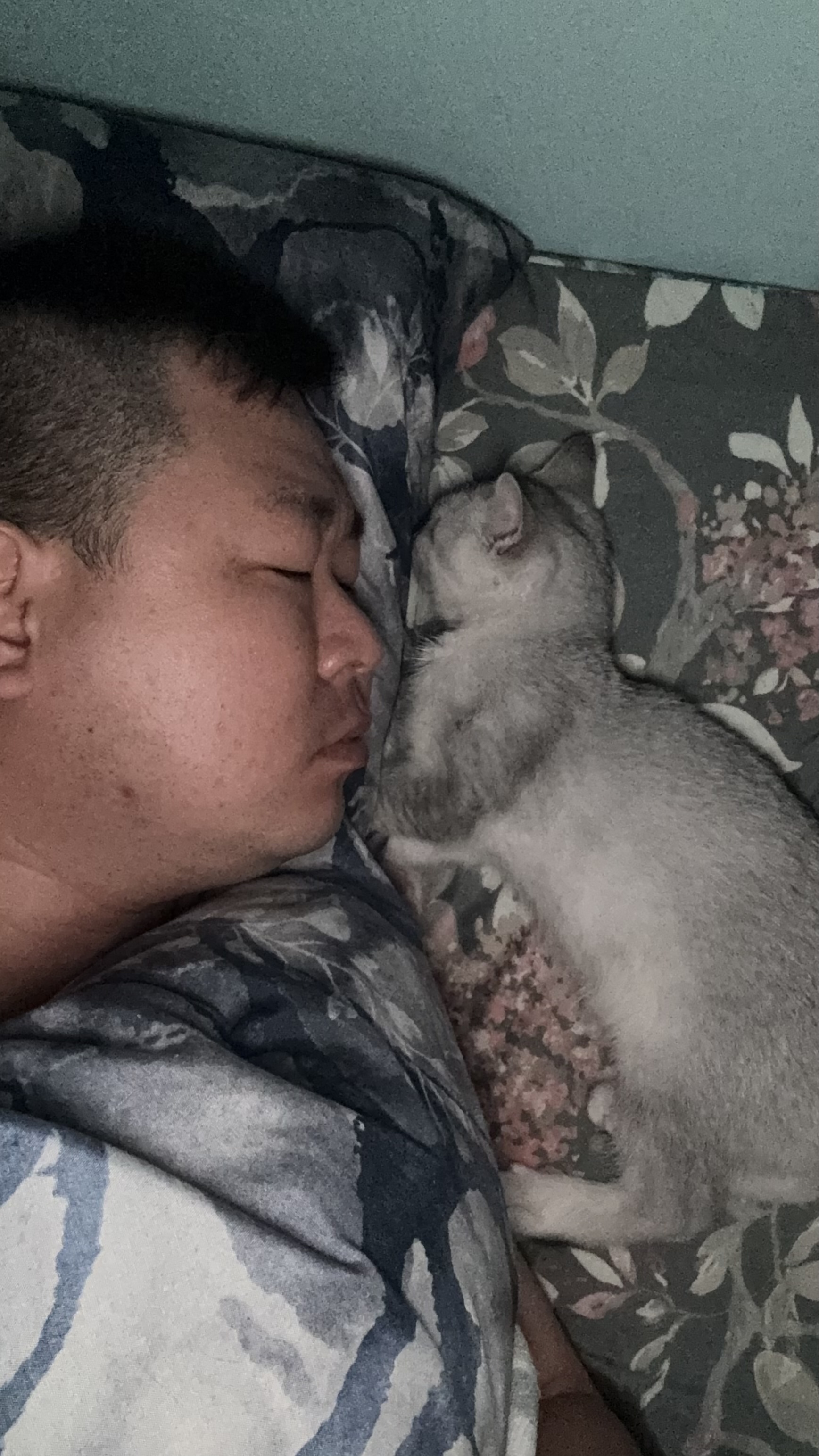 image-5