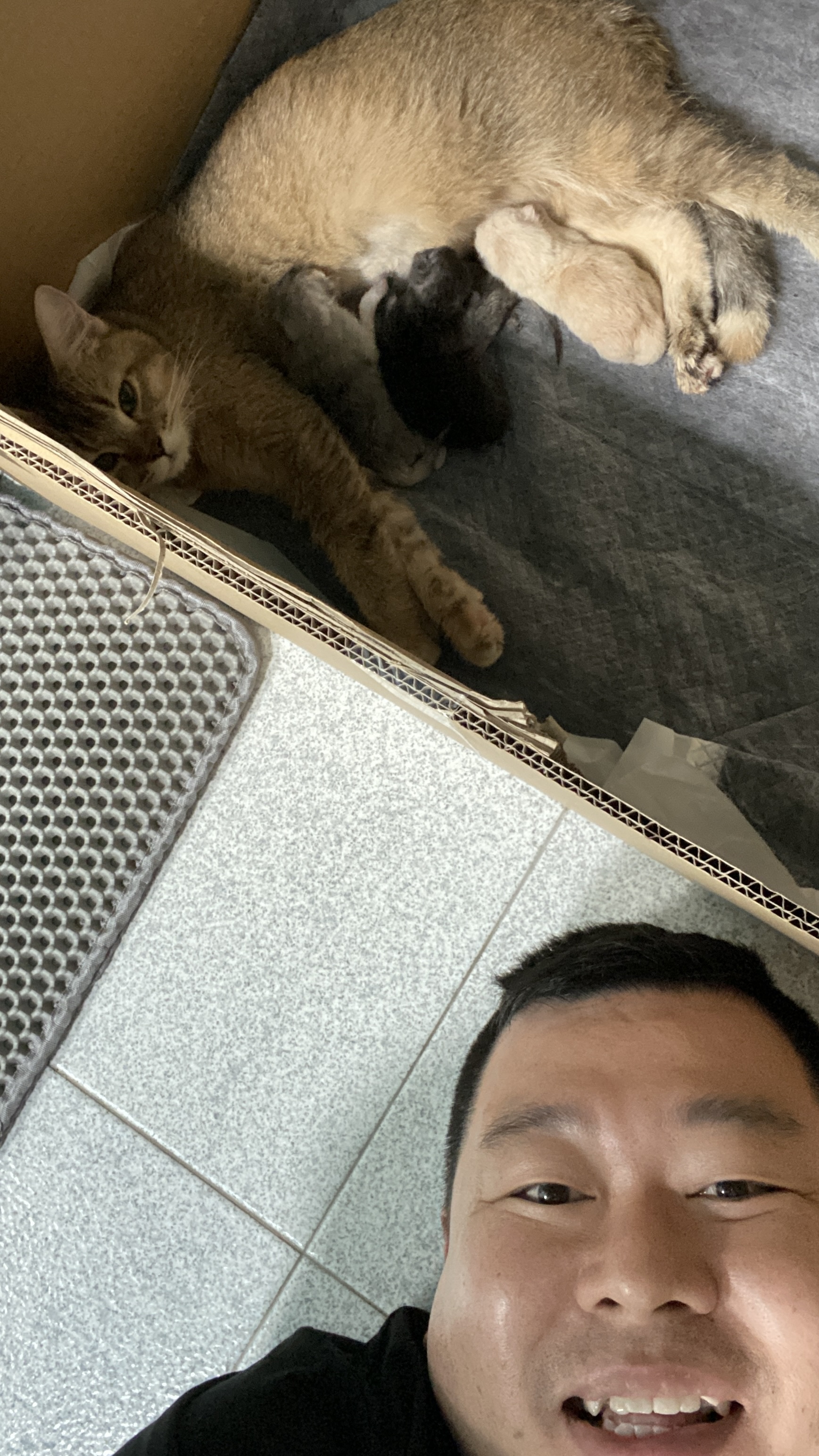 image-8