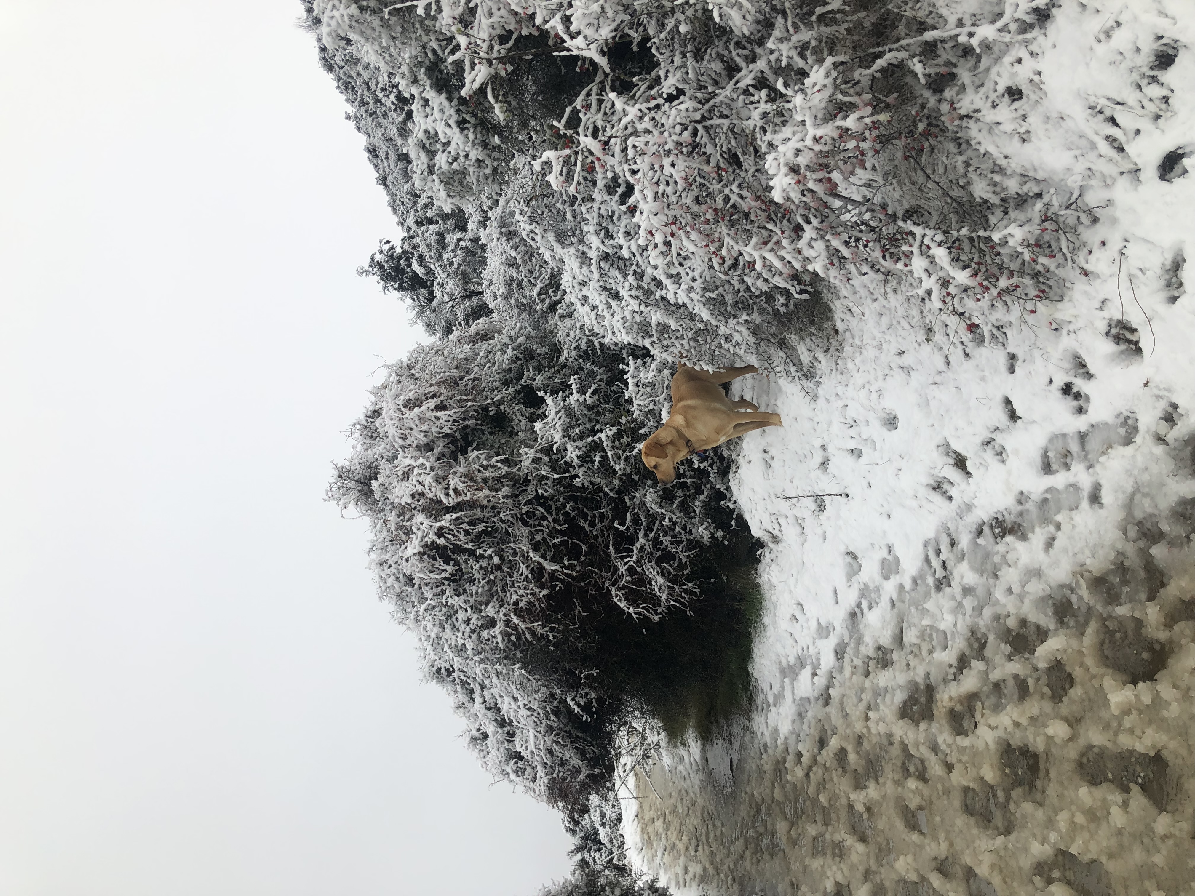 image-6
