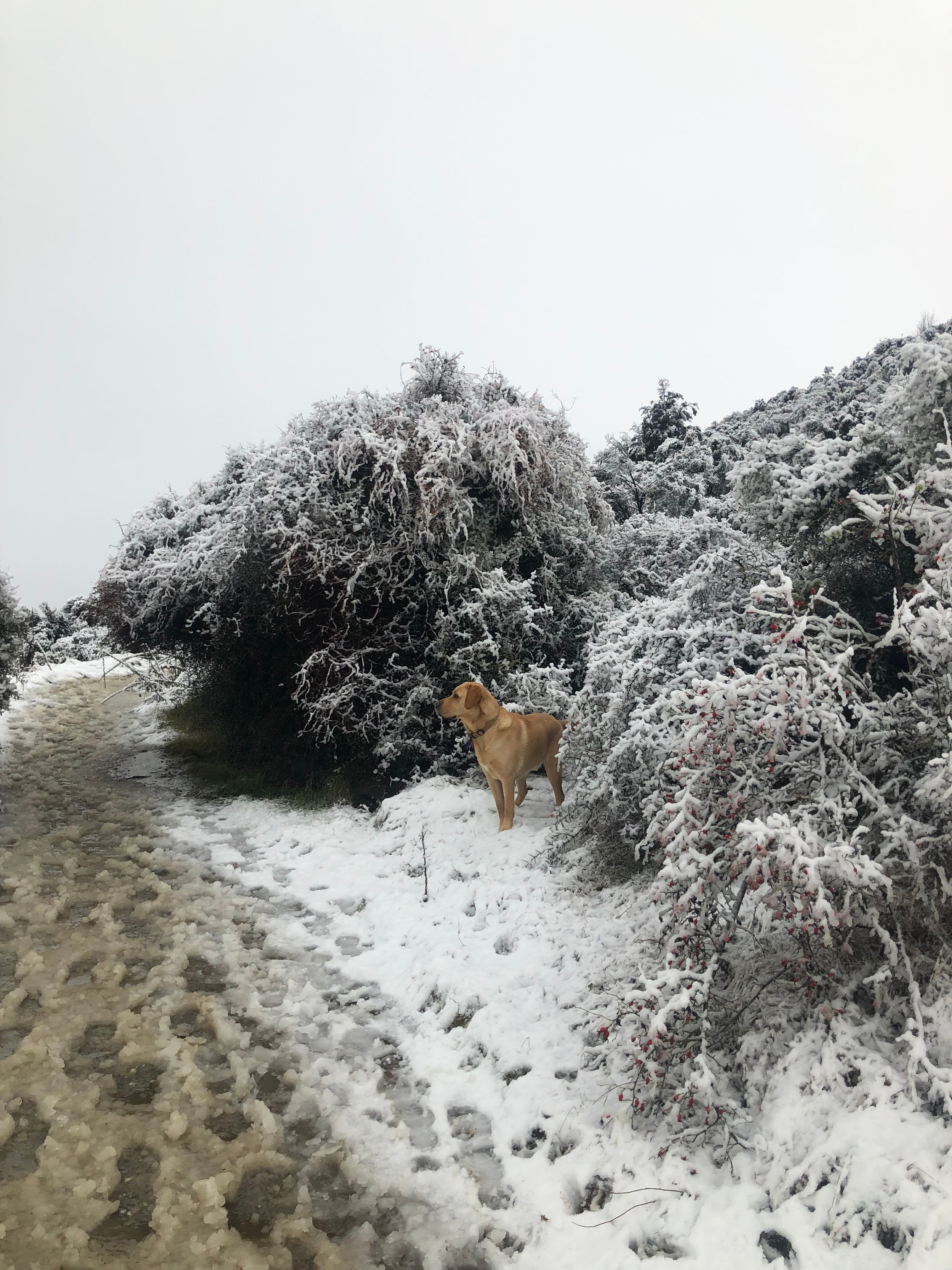image-6