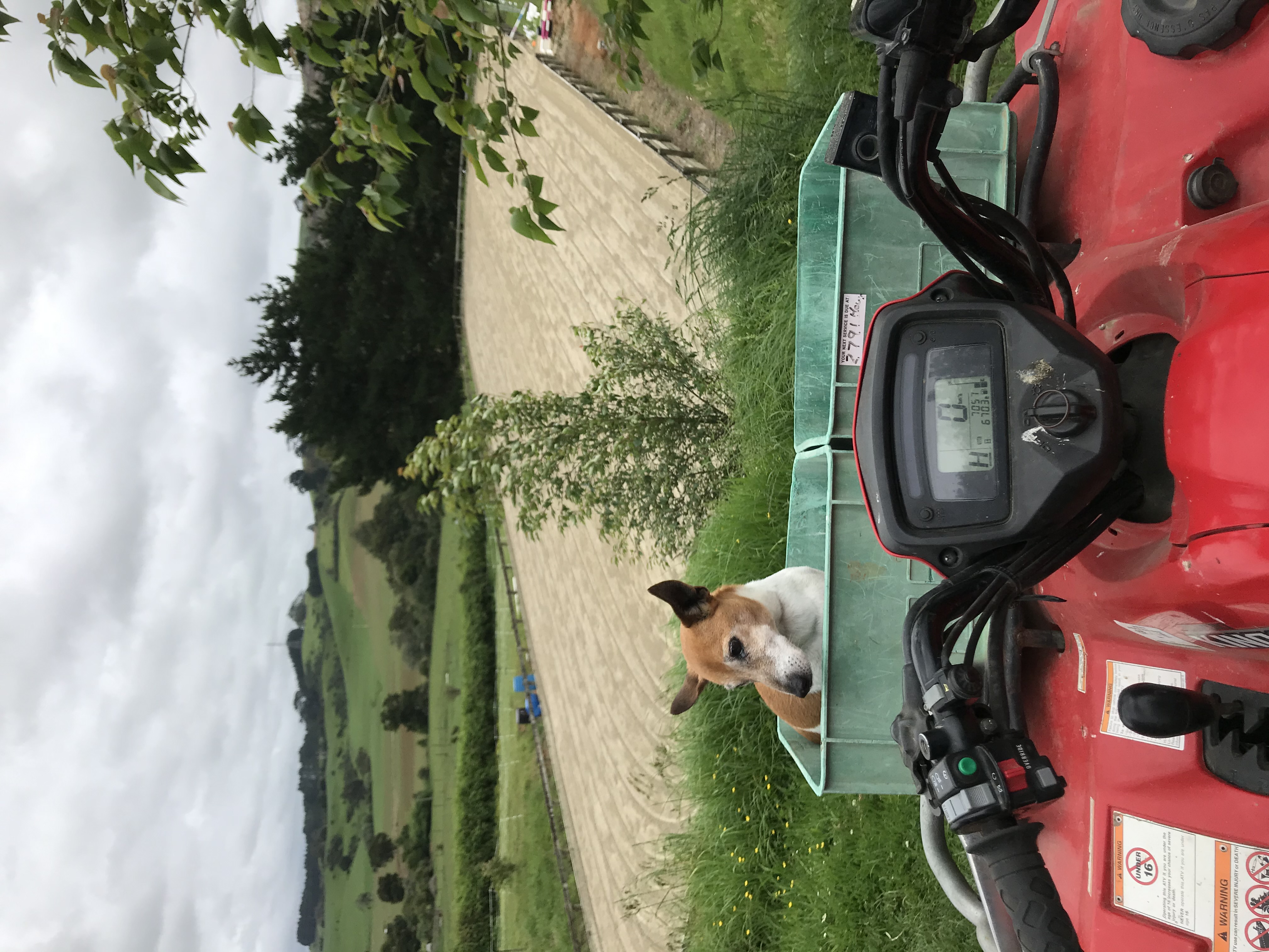 image-10