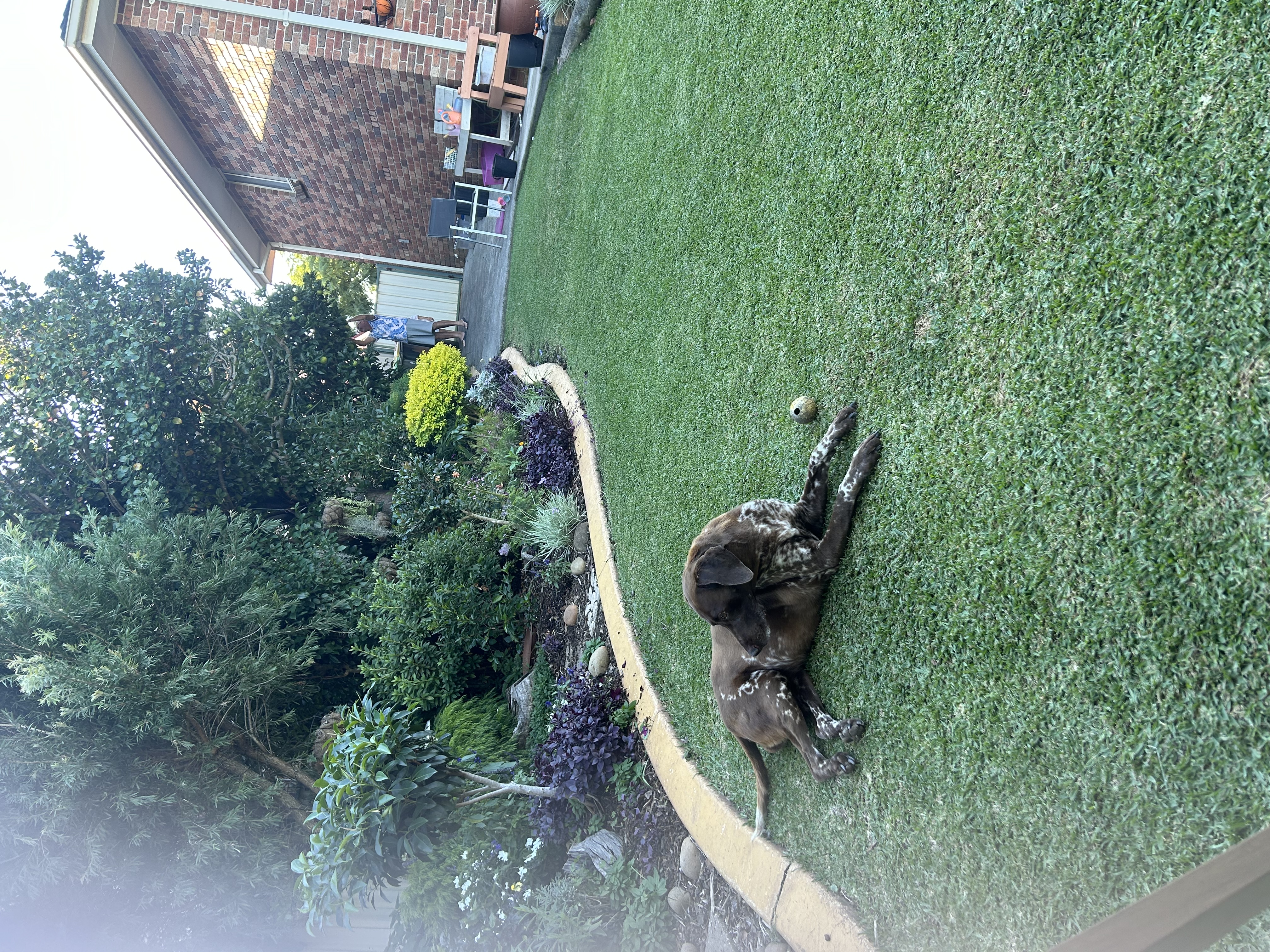 image-13