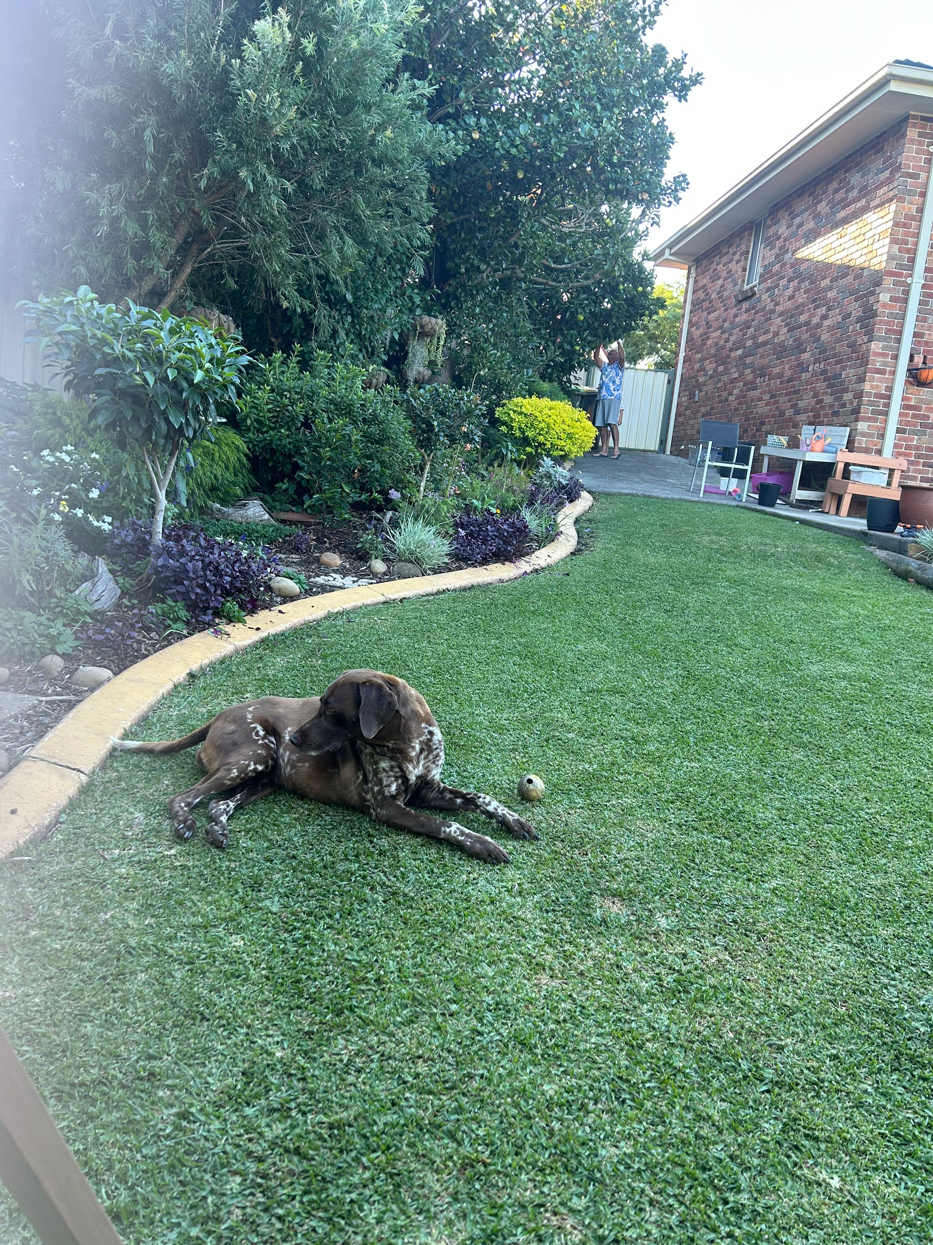 image-13
