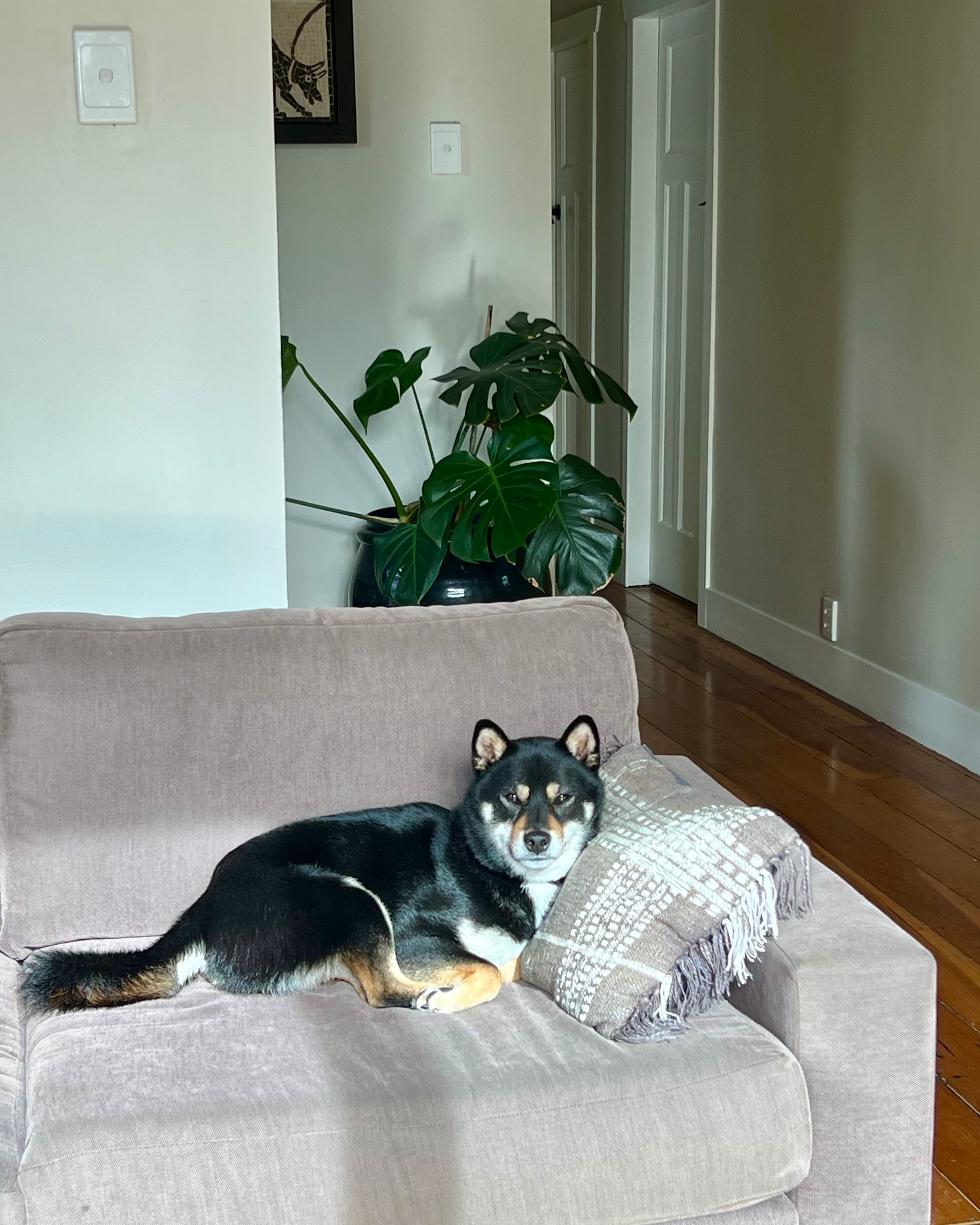 image-17