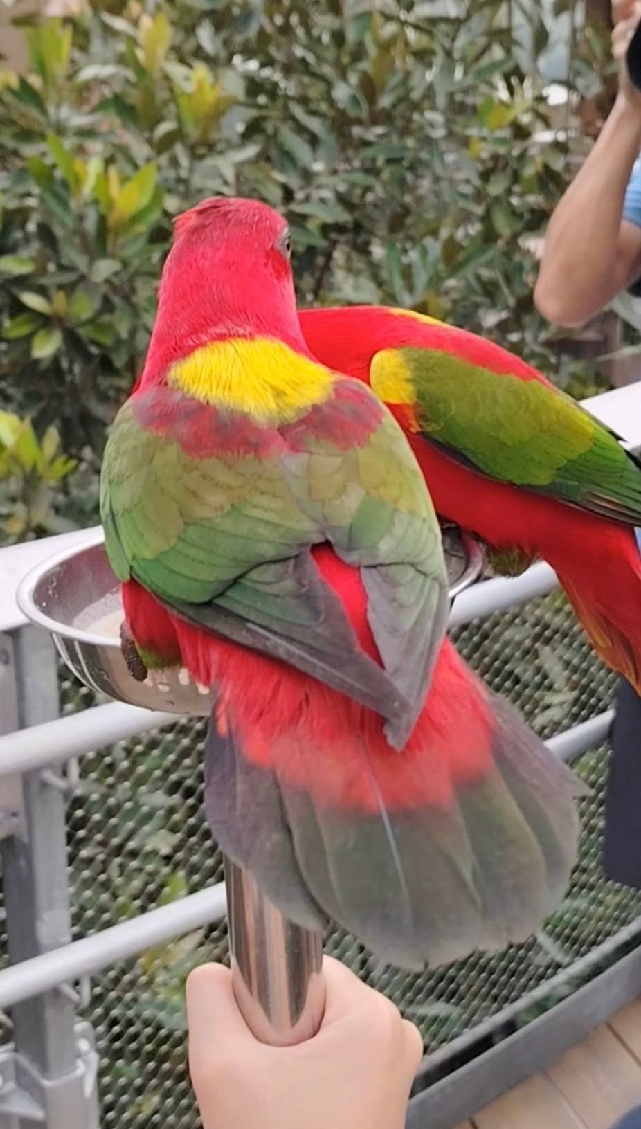 image-9