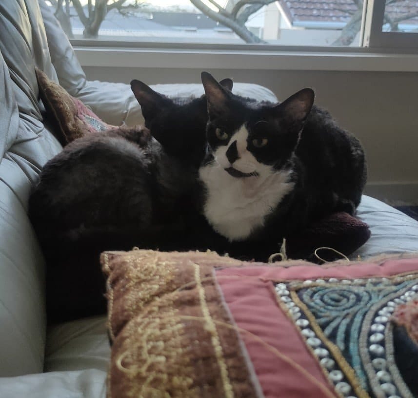 image-13