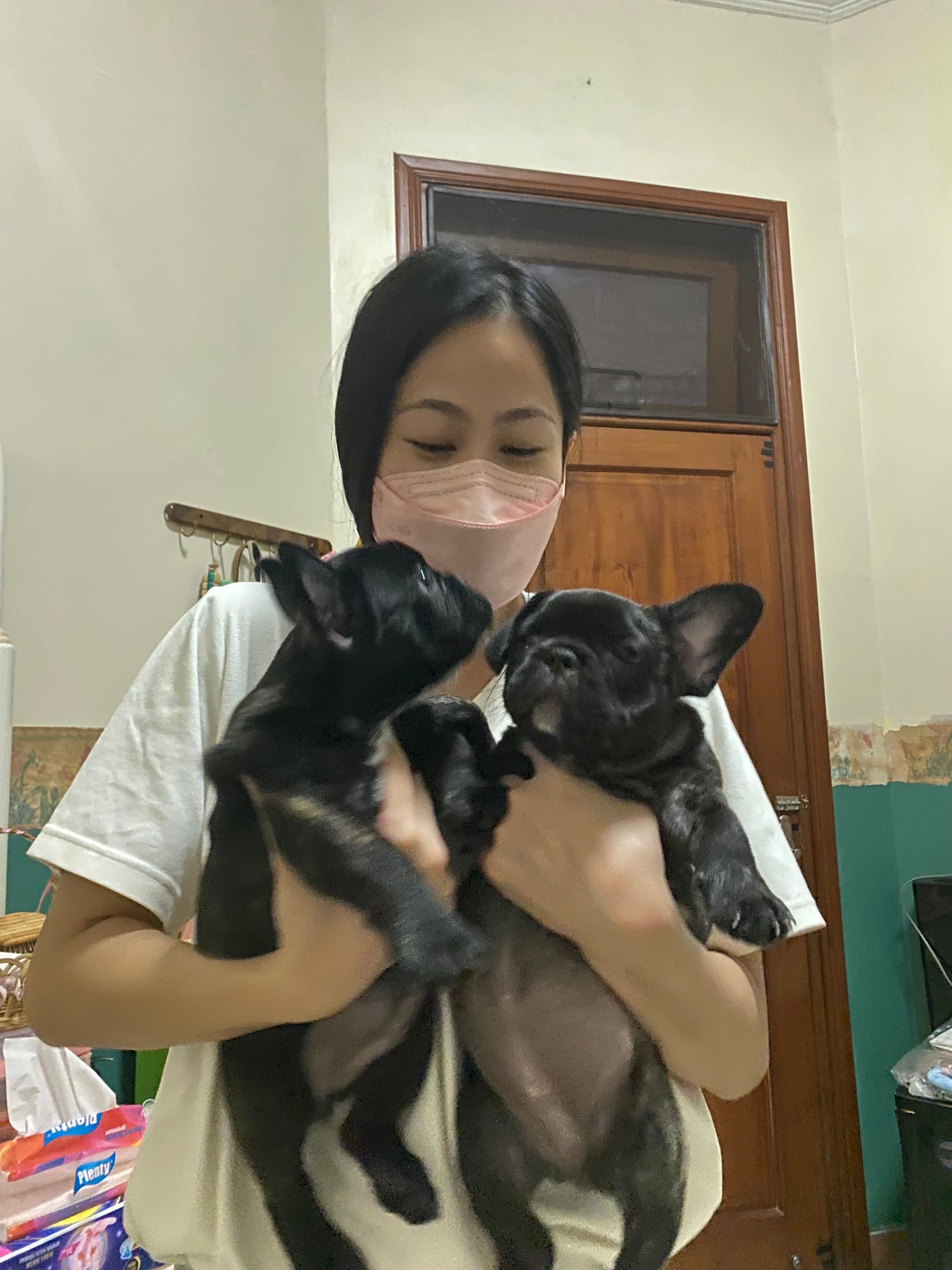 image-7