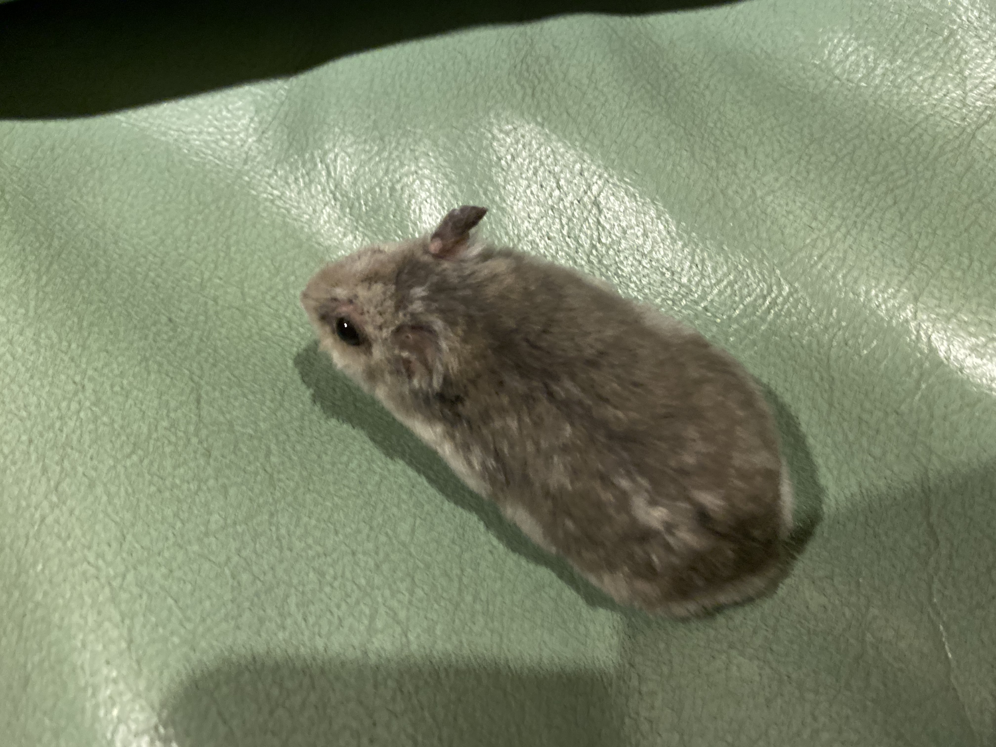 image-7
