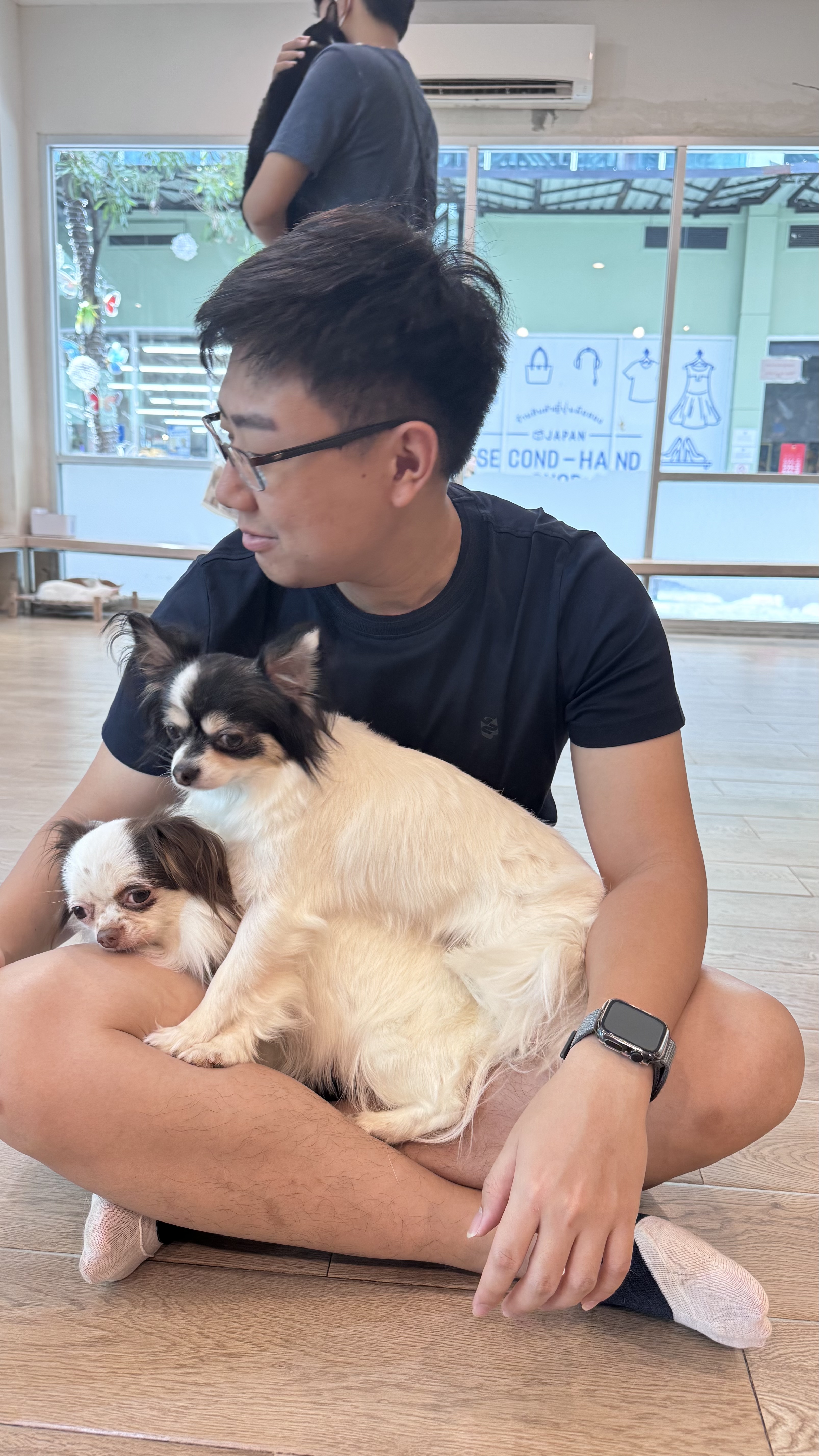 image-12