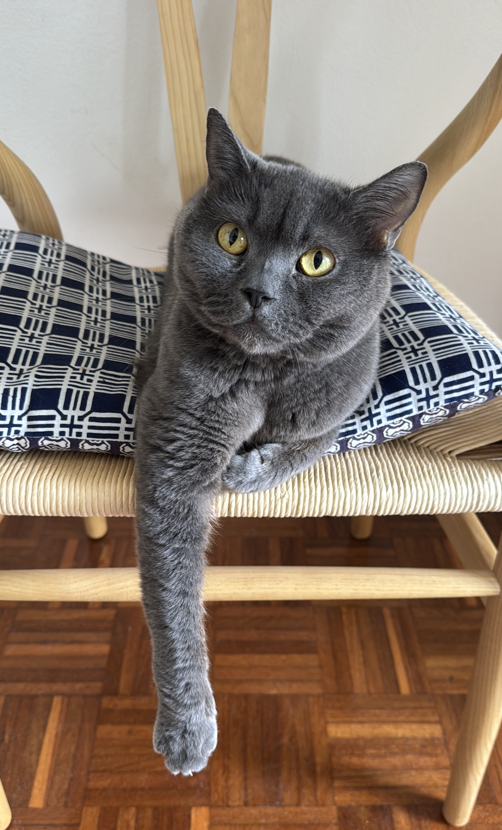 image-0